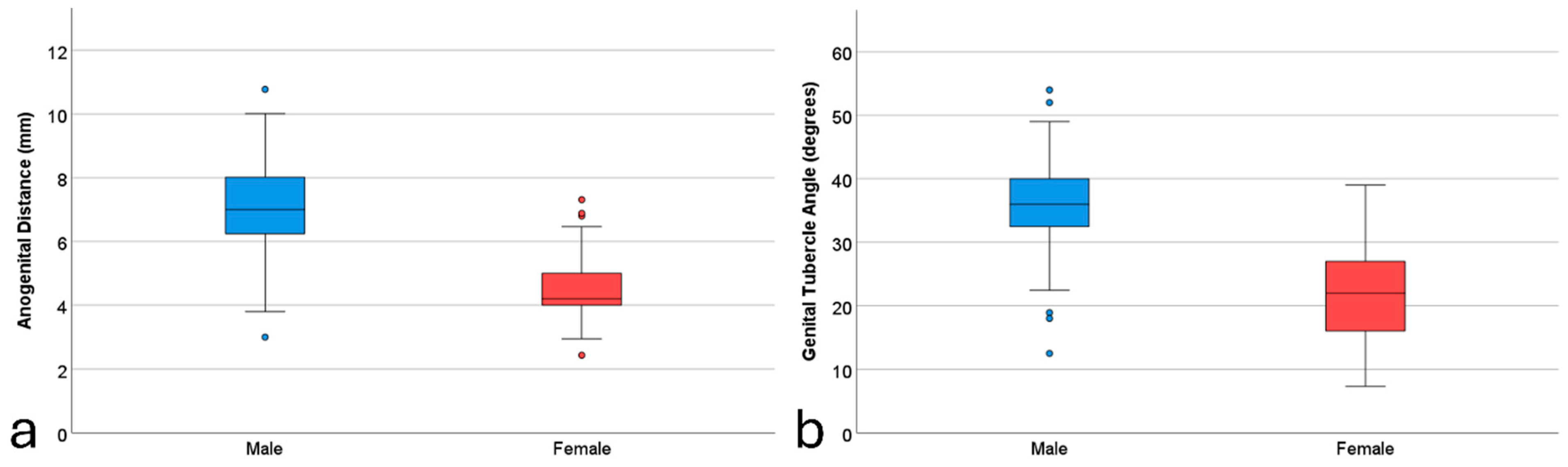 Diagnostics 14 01811 g001