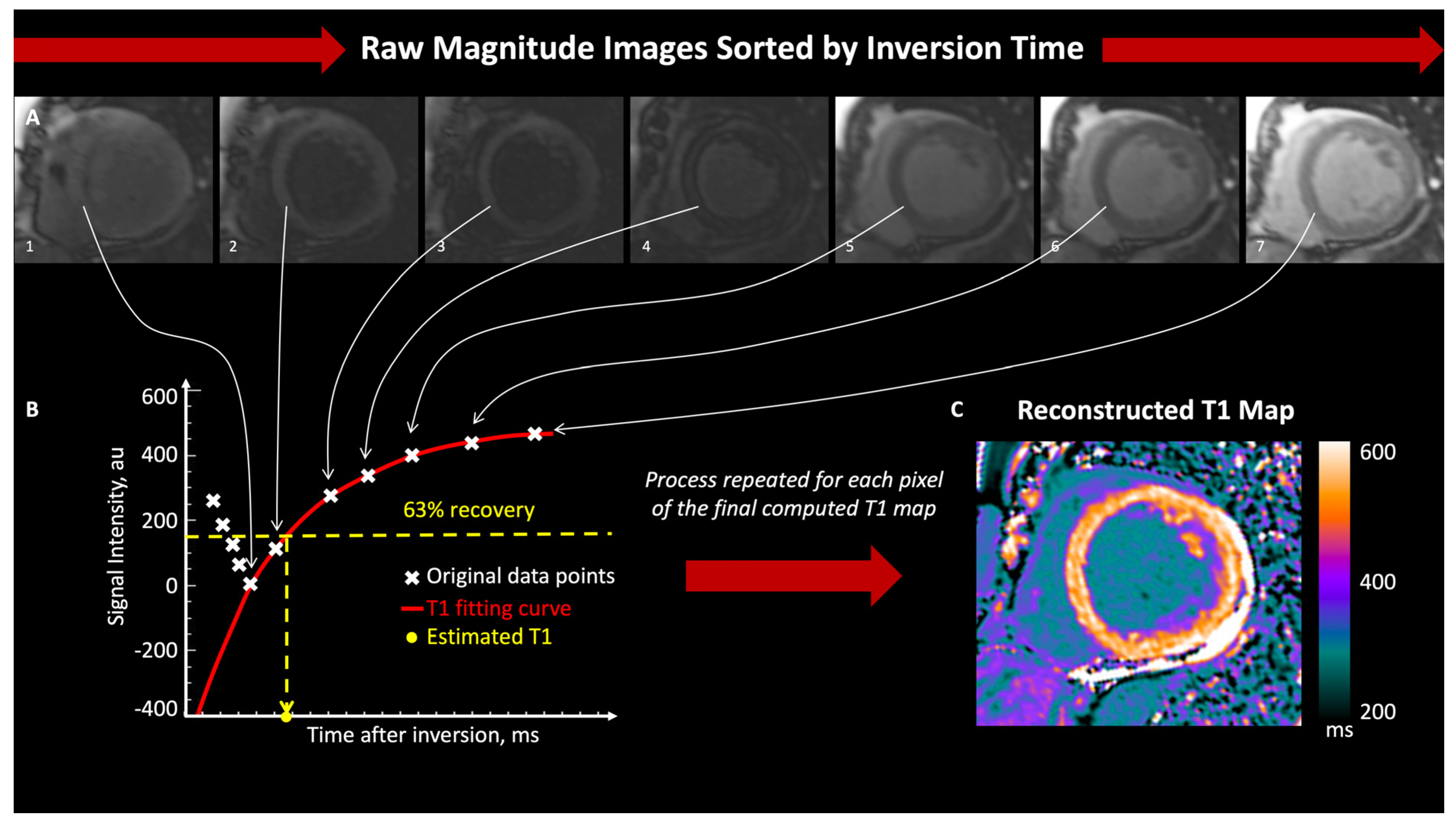 Diagnostics 14 01816 g001