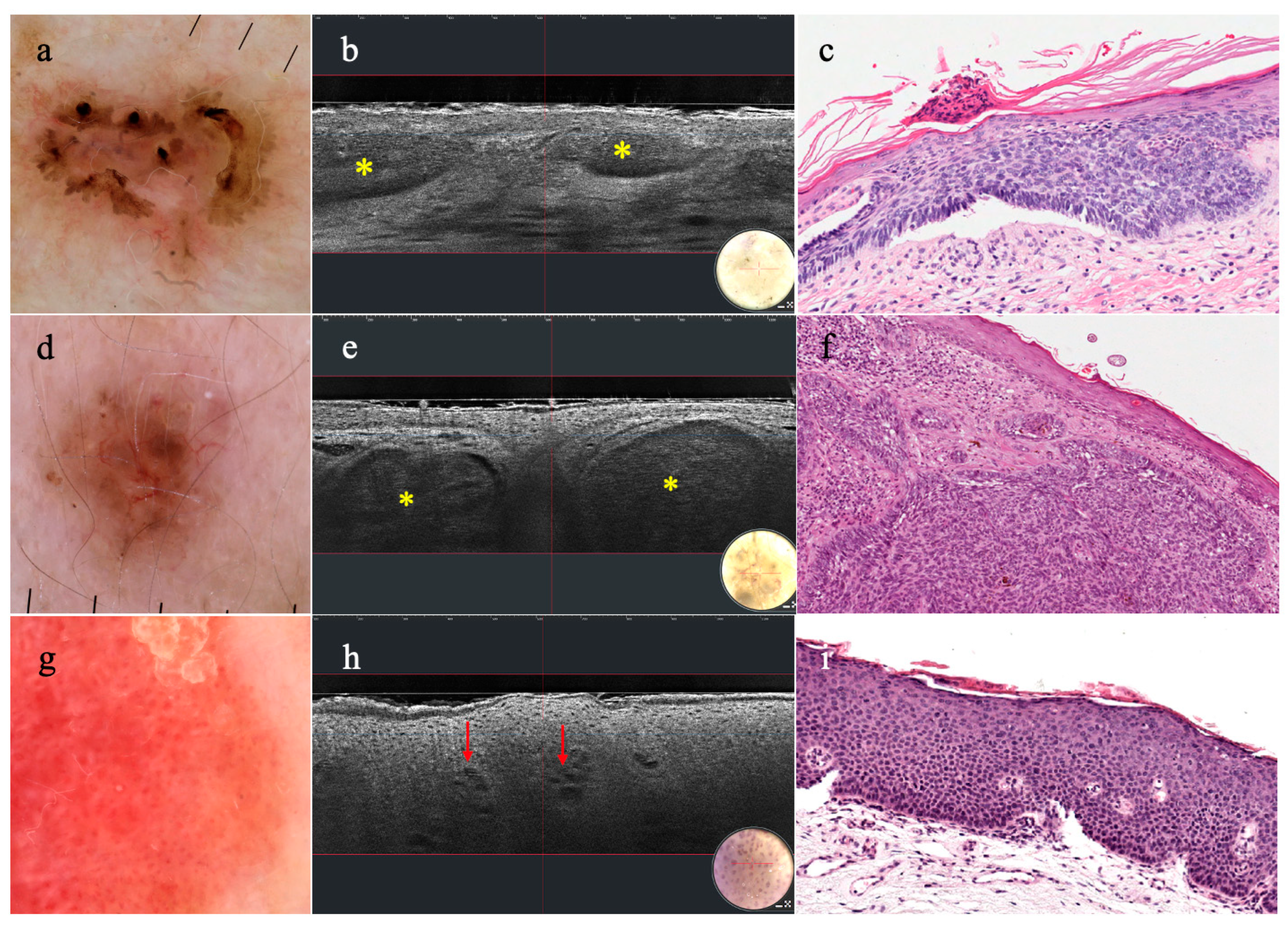 Diagnostics 14 01821 g003