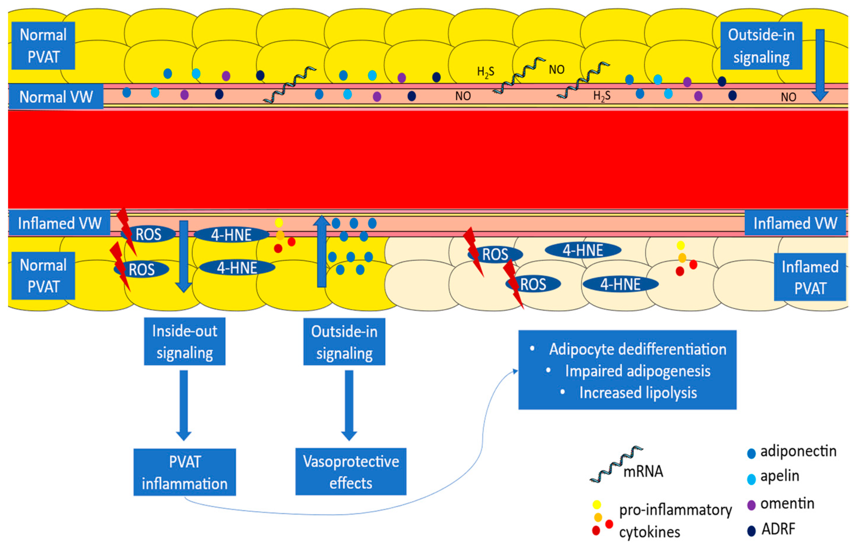 Diagnostics 14 01830 g001