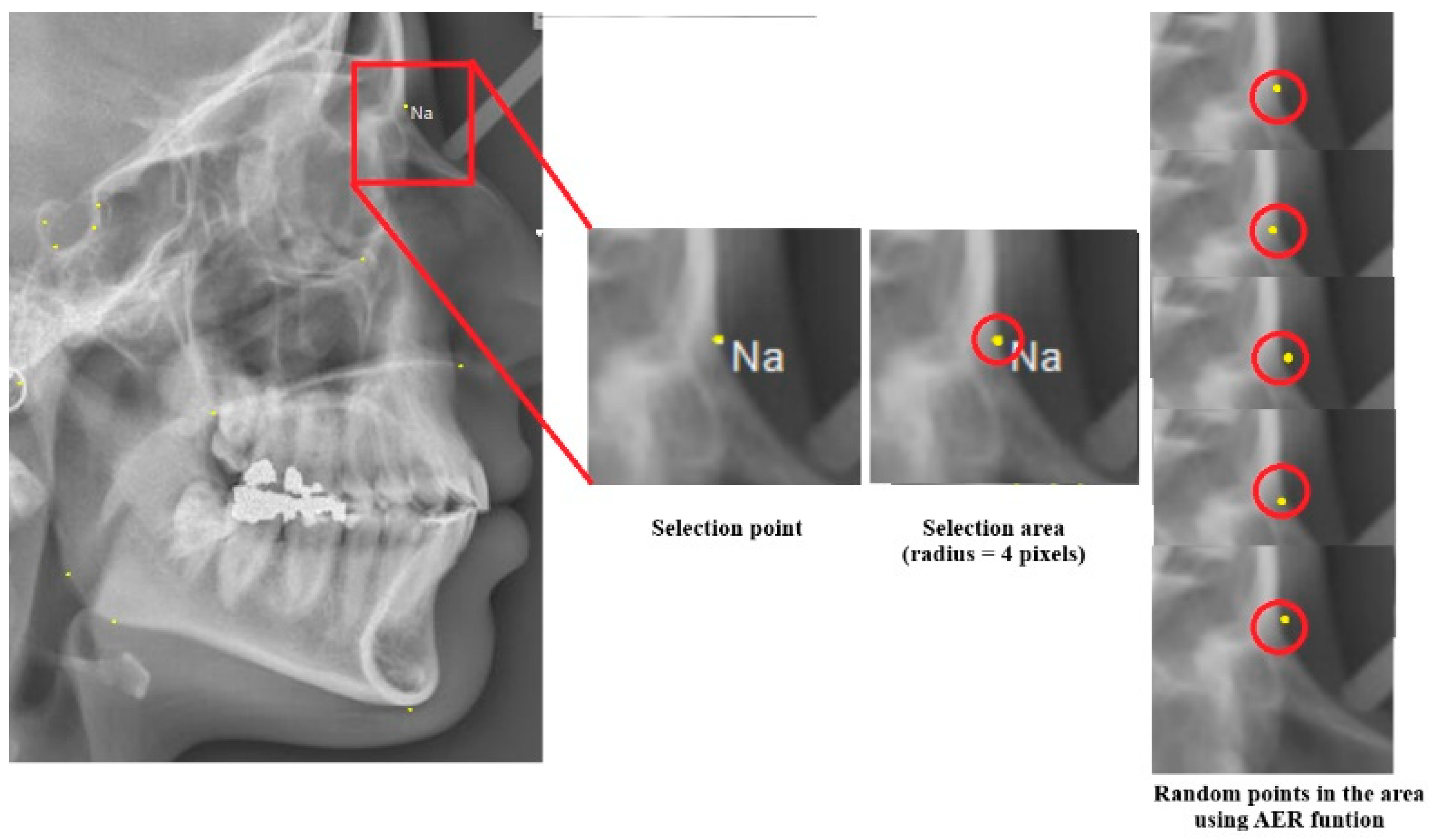 Diagnostics 14 01840 g004