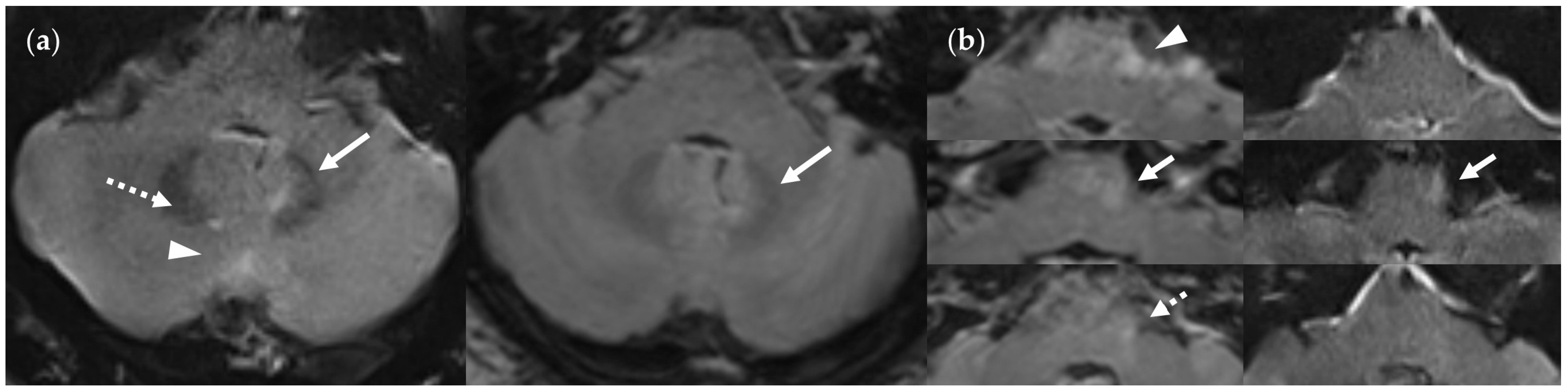 Diagnostics 14 01841 g015