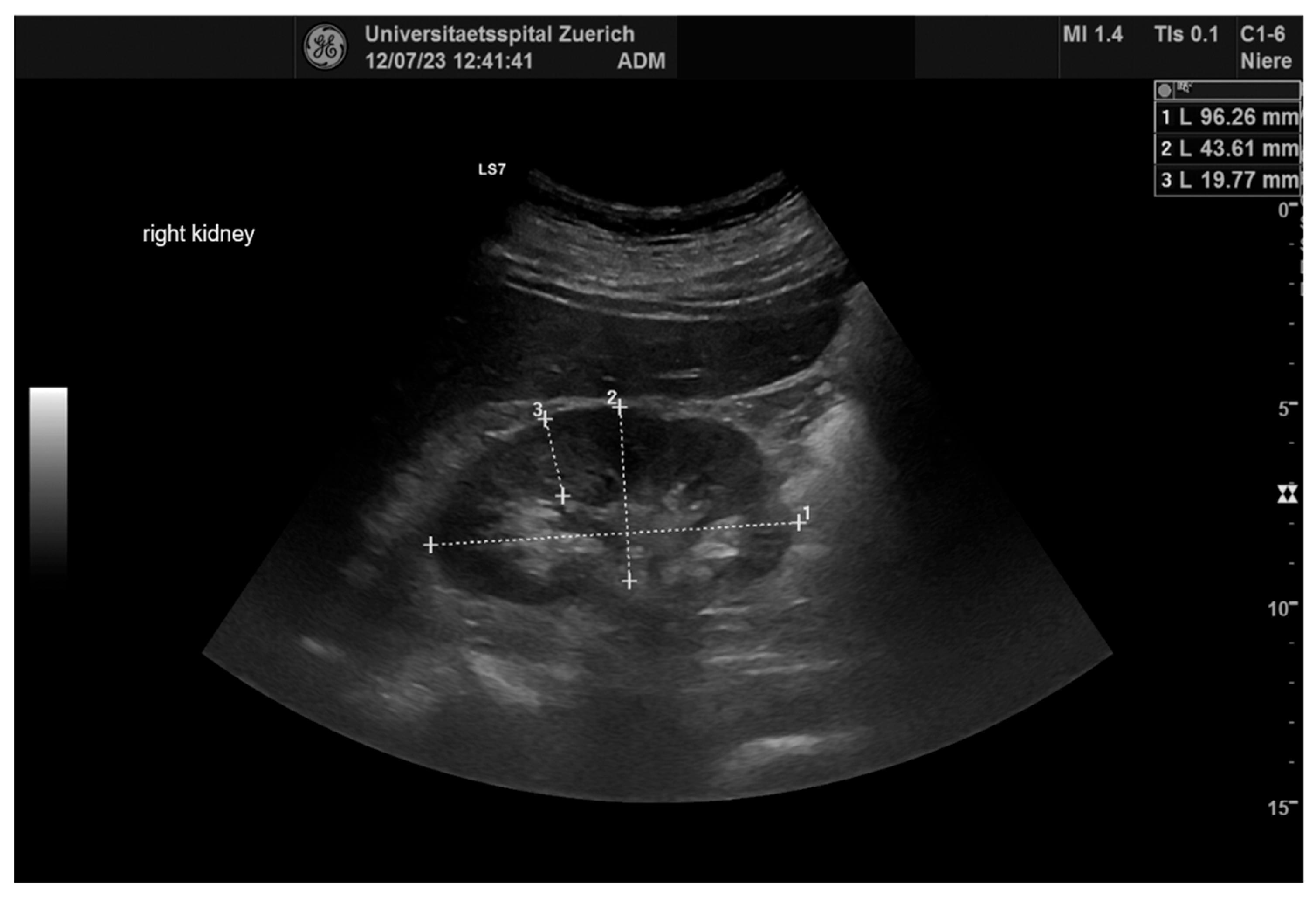 Diagnostics 14 01860 g002