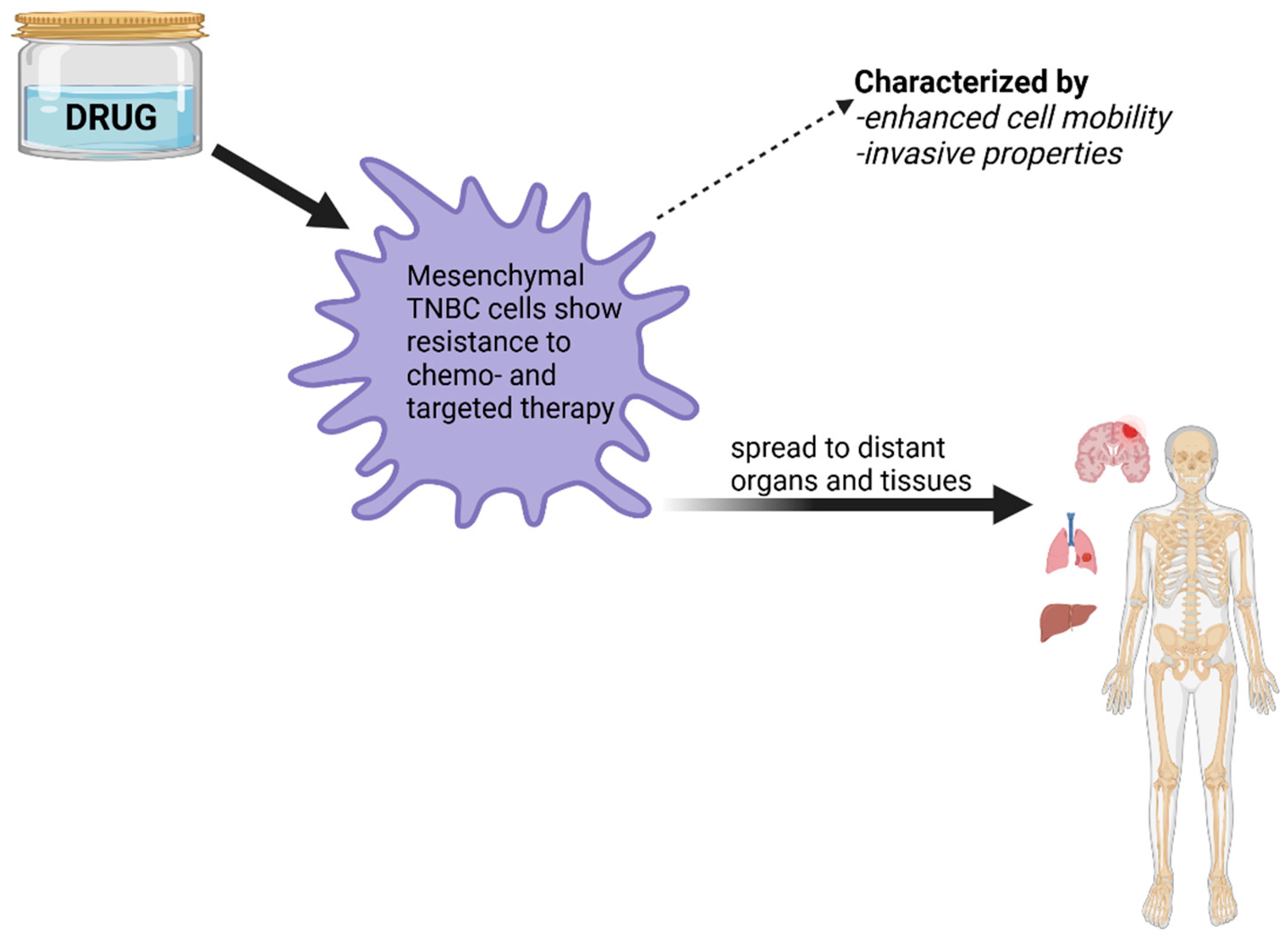 Diagnostics 14 01875 g002