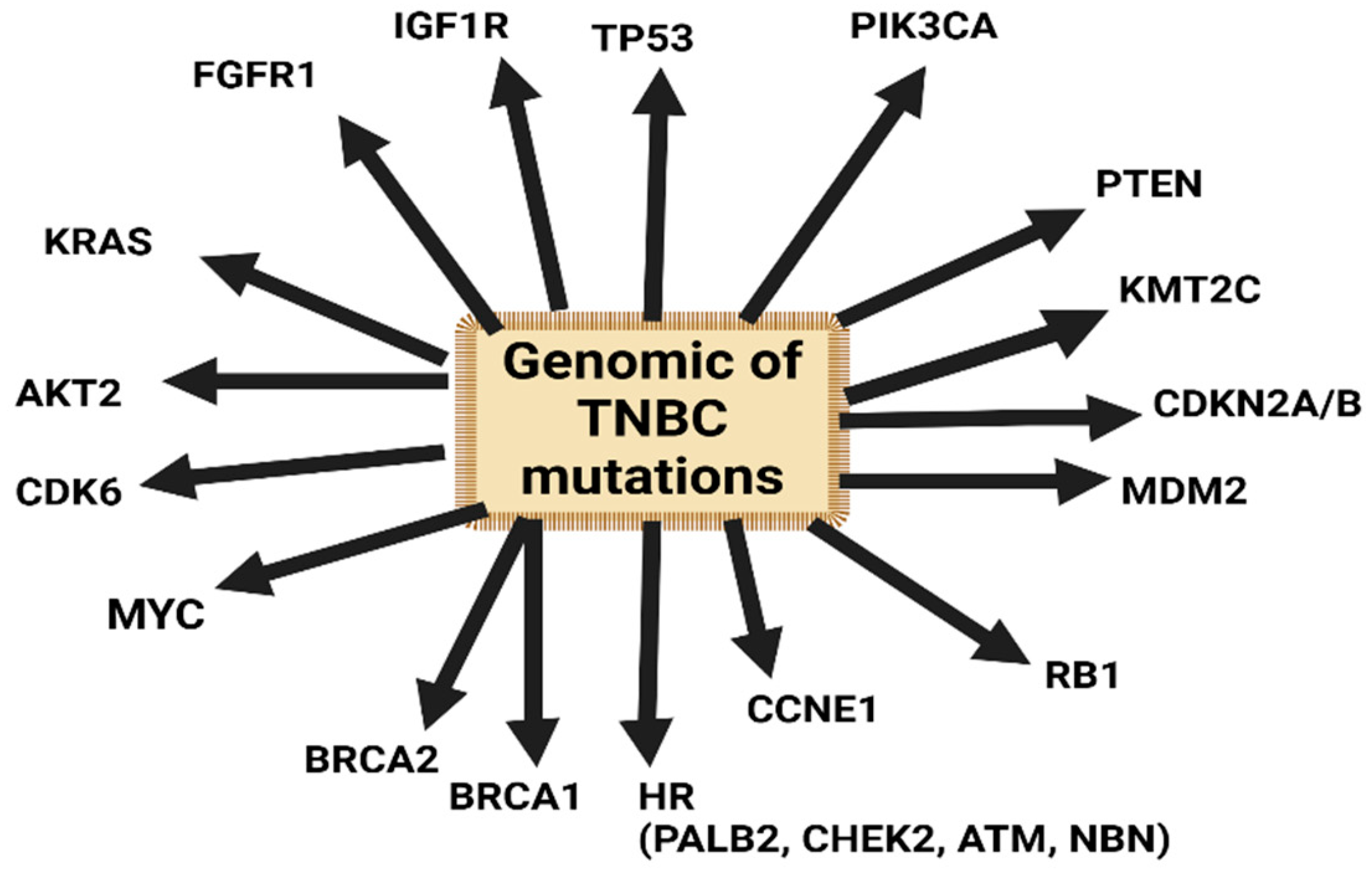 Diagnostics 14 01875 g004