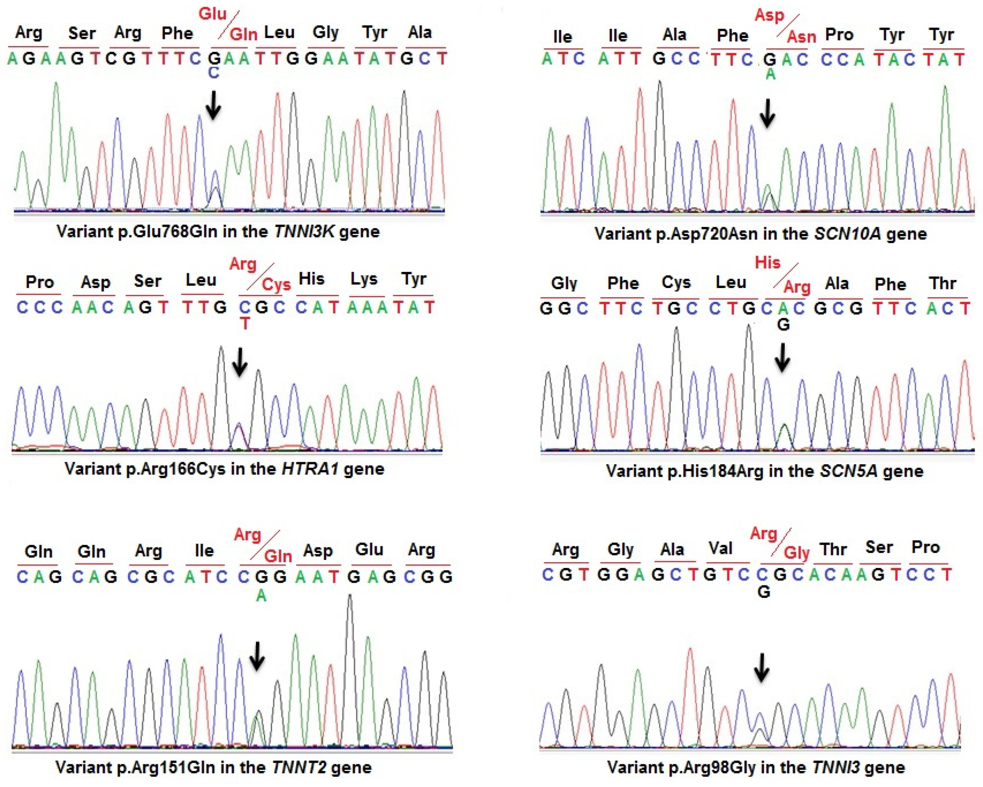 Diagnostics 14 01876 g002