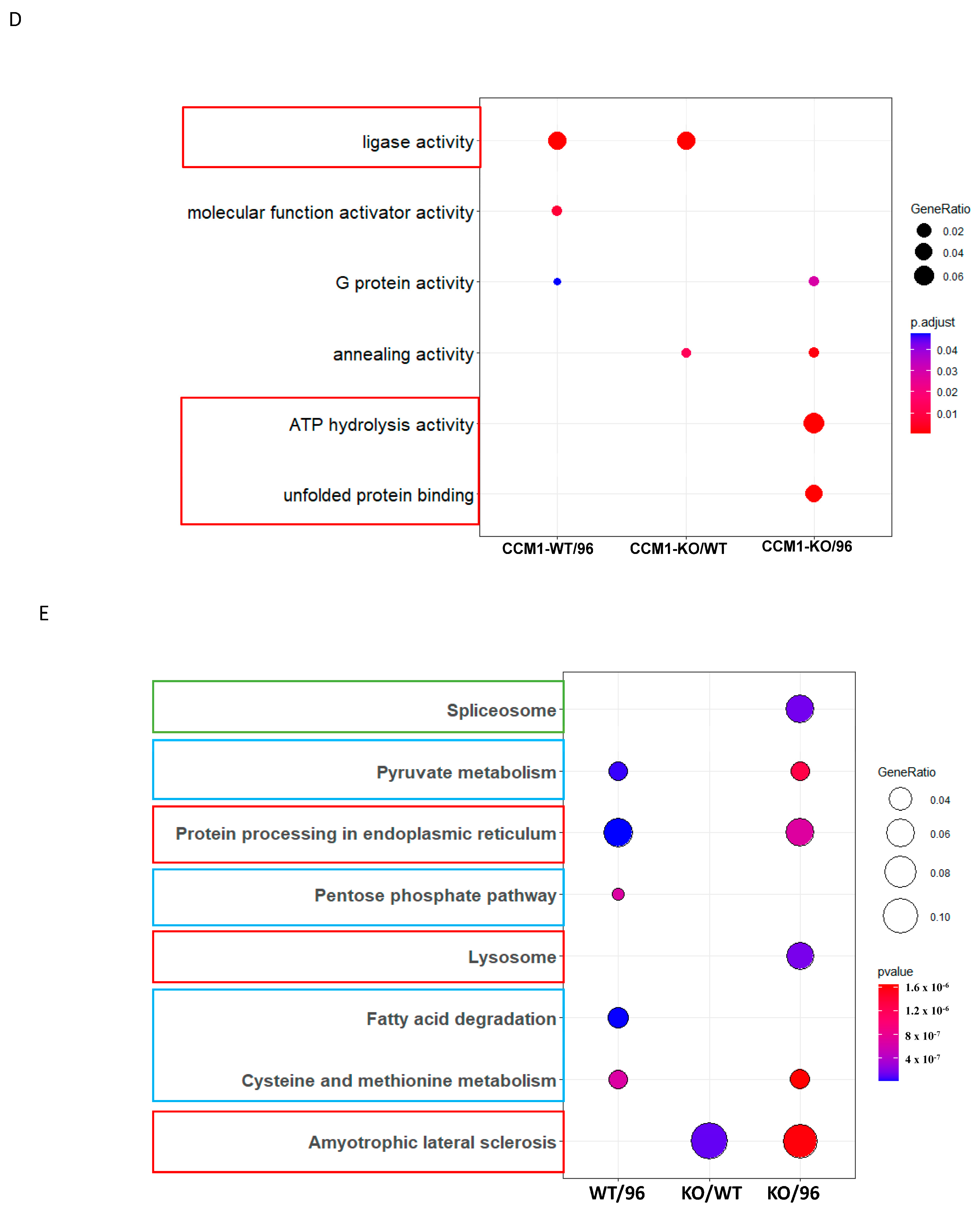 Diagnostics 14 01895 g001b