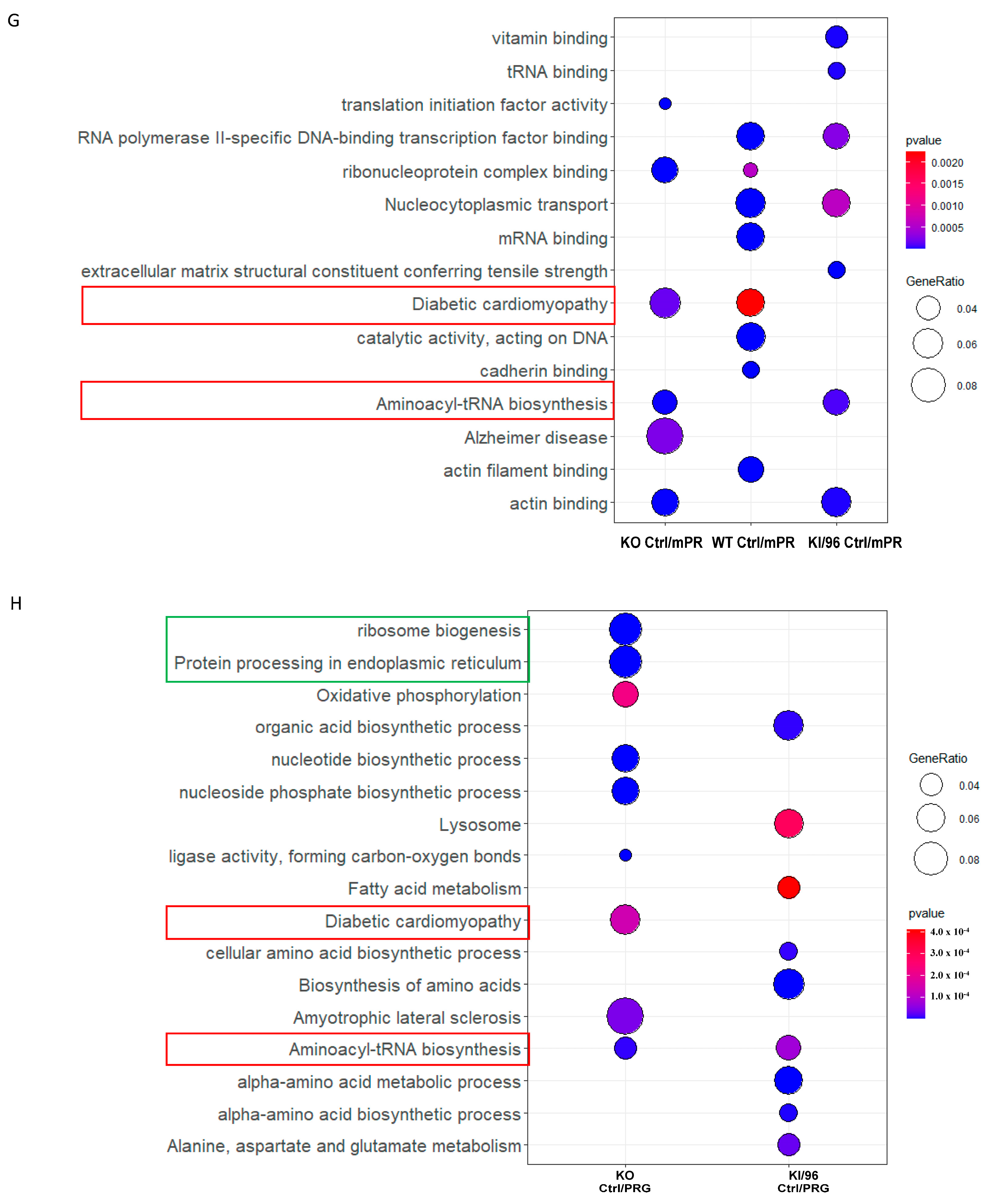 Diagnostics 14 01895 g002c