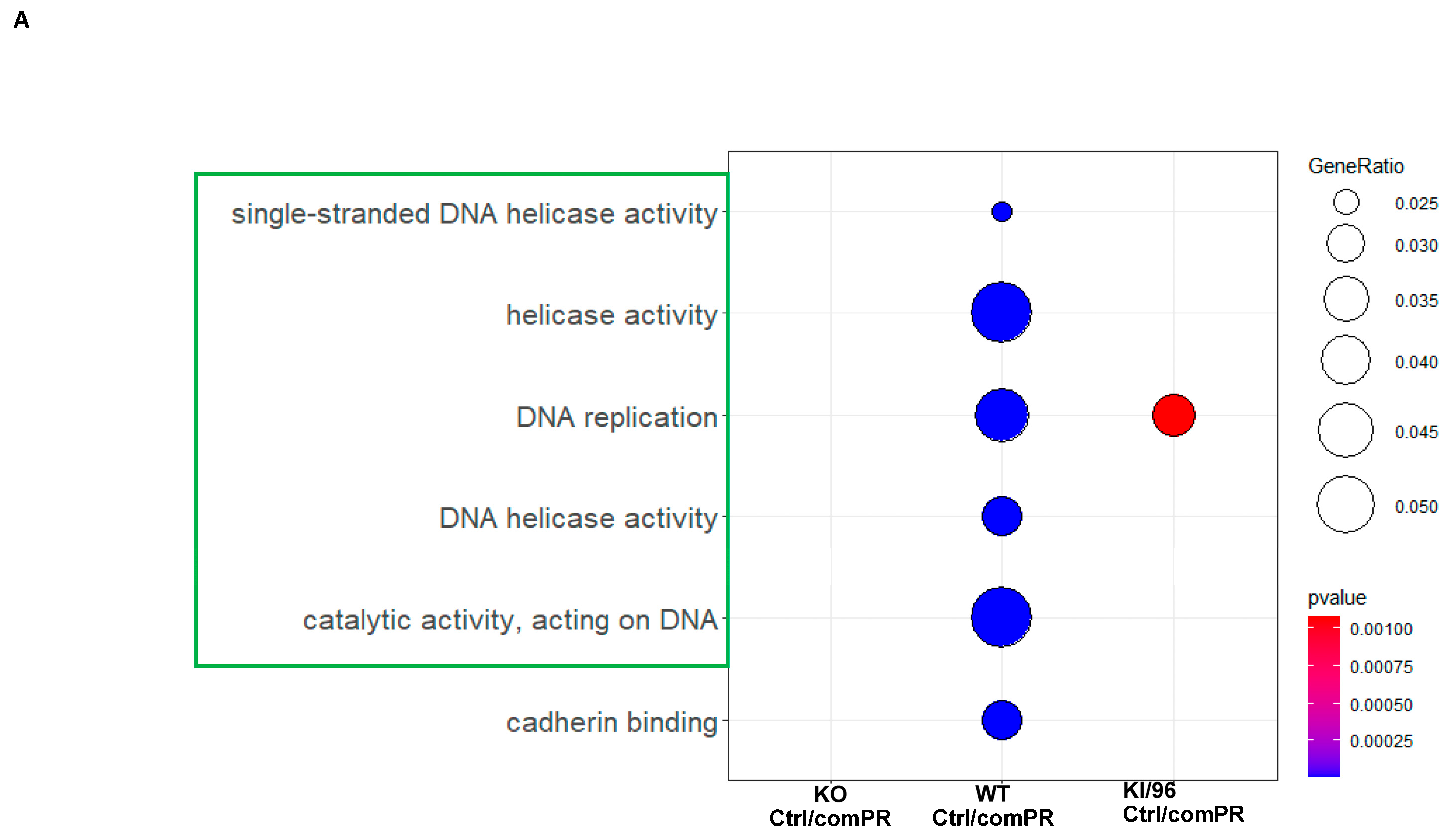 Diagnostics 14 01895 g003a