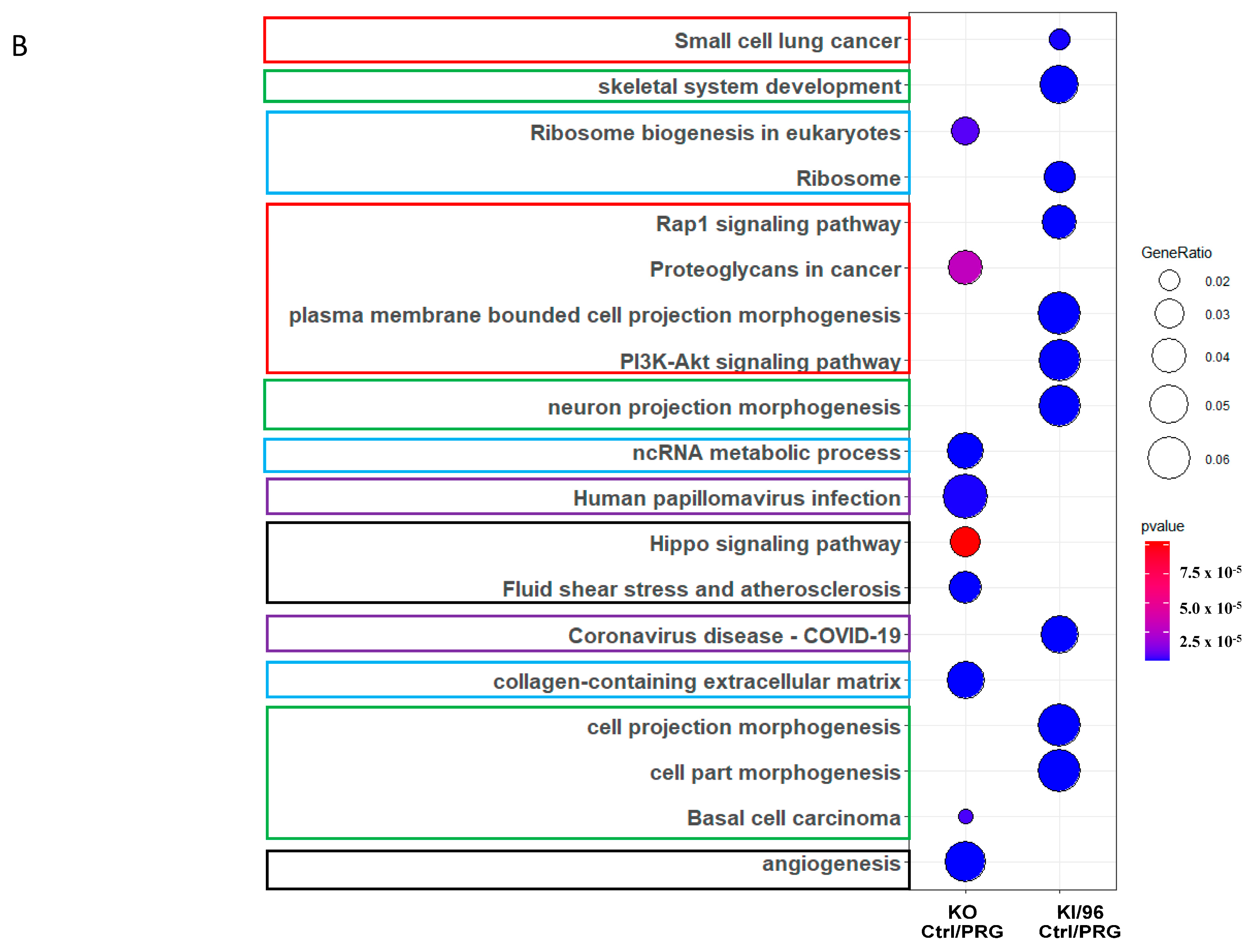 Diagnostics 14 01895 g003b