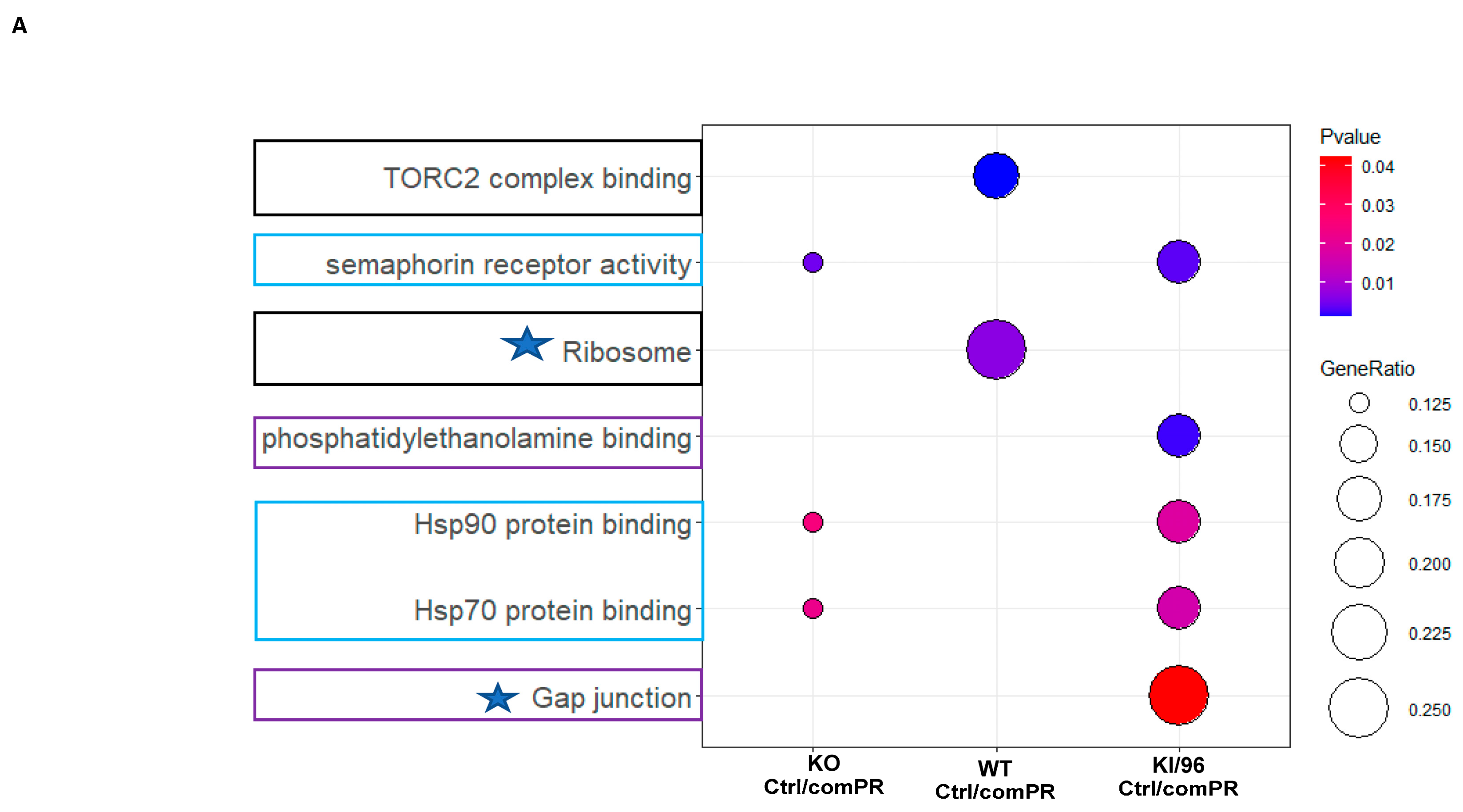 Diagnostics 14 01895 g004a