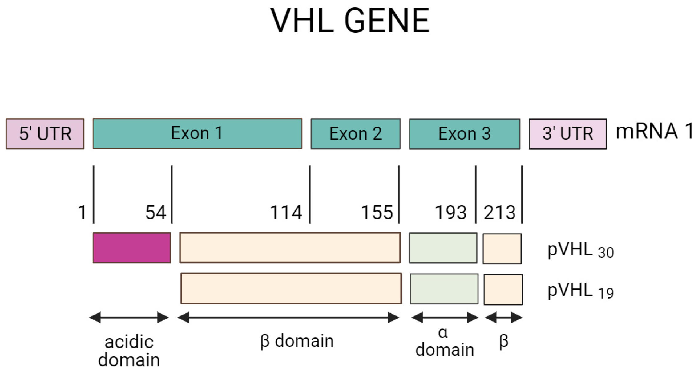 Diagnostics 14 01909 g003