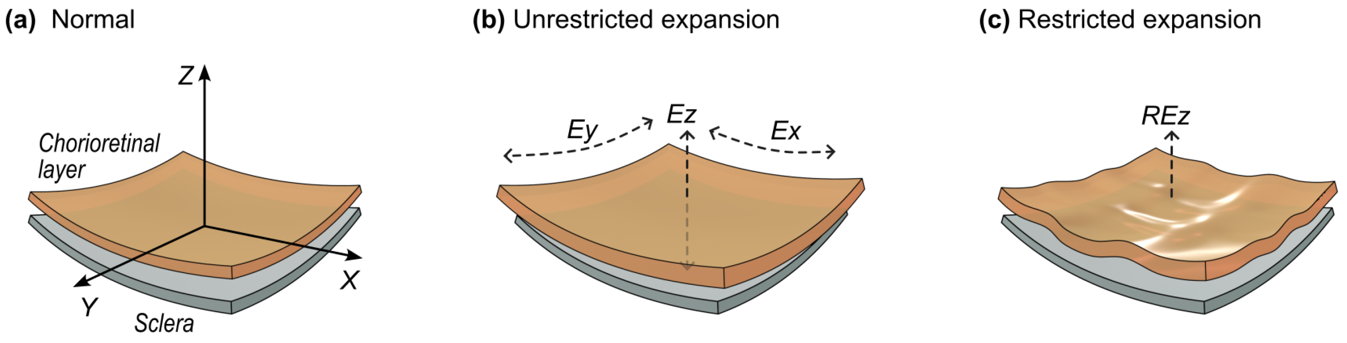 Diagnostics 14 01918 g013 Diagnostics 14 01918 g013