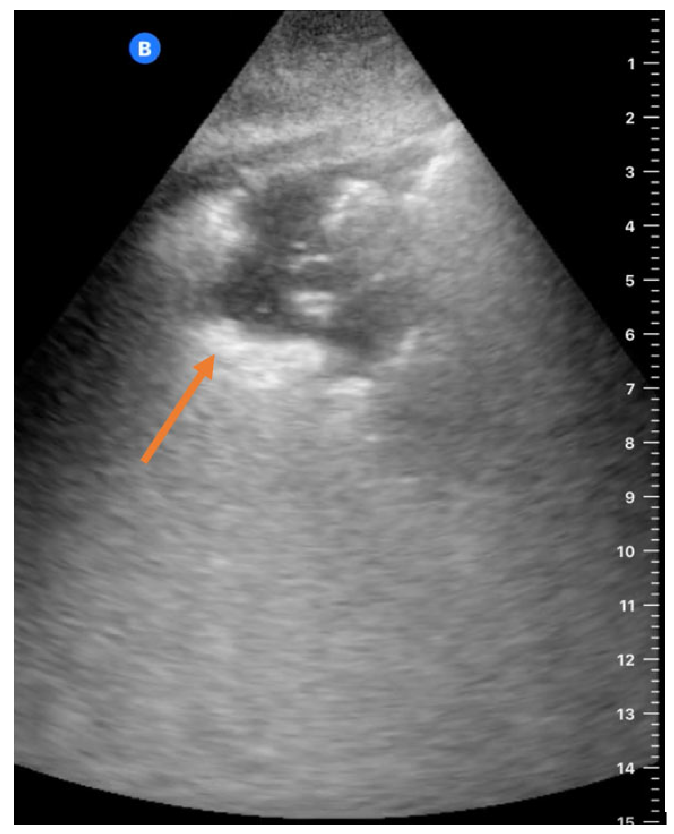 Diagnostics 14 01921 g003