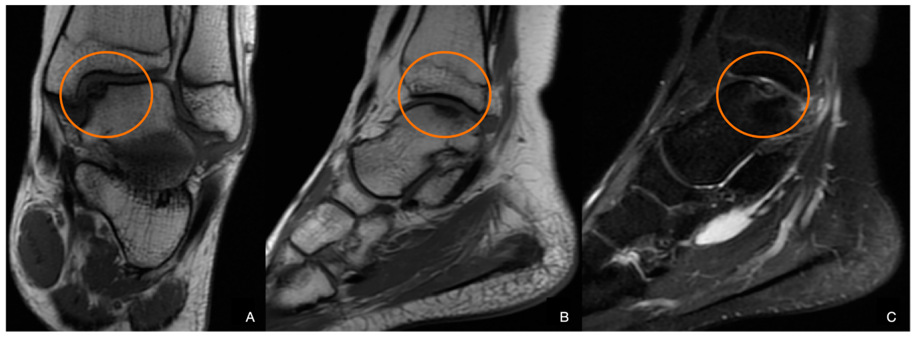 Diagnostics 14 01931 g002