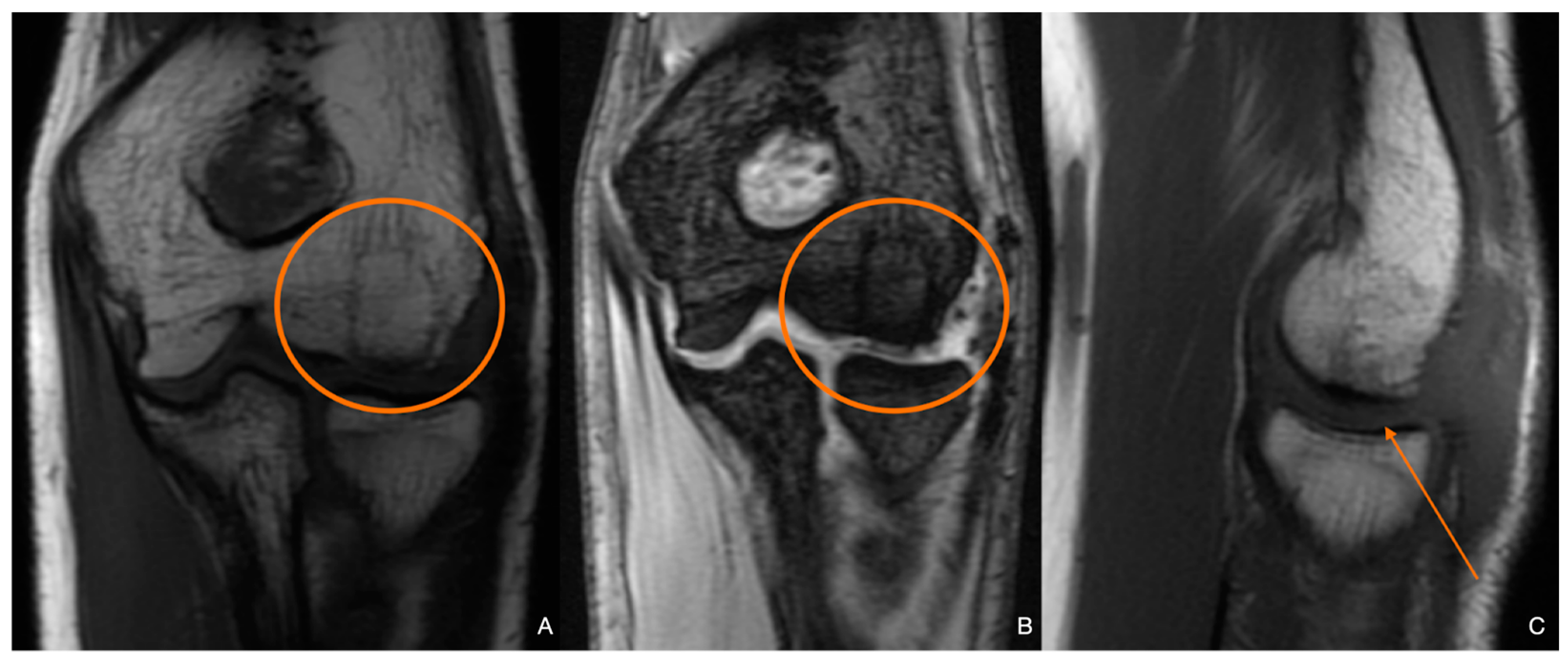 Diagnostics 14 01931 g012