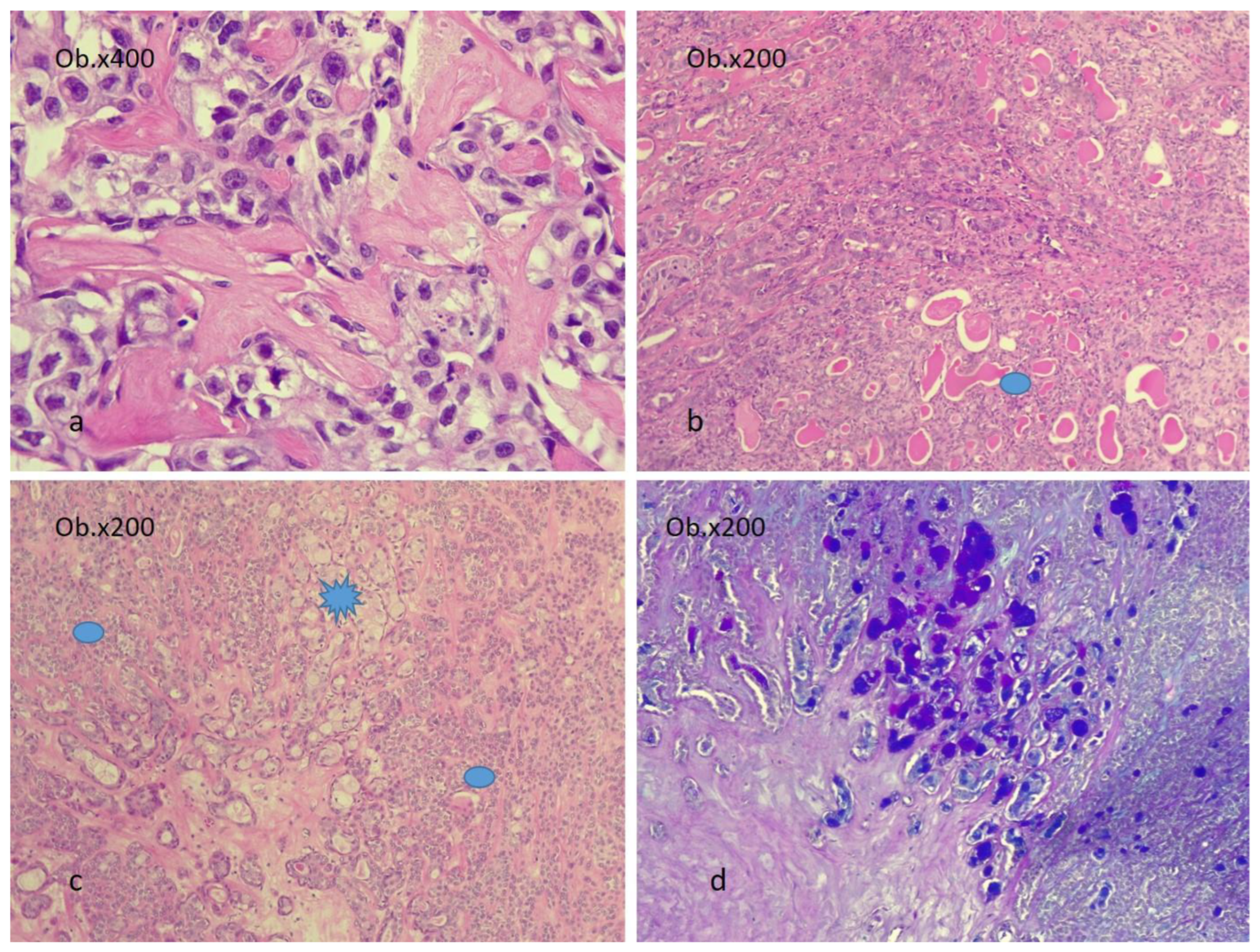 Diagnostics 14 01942 g004 Diagnostics 14 01942 g004