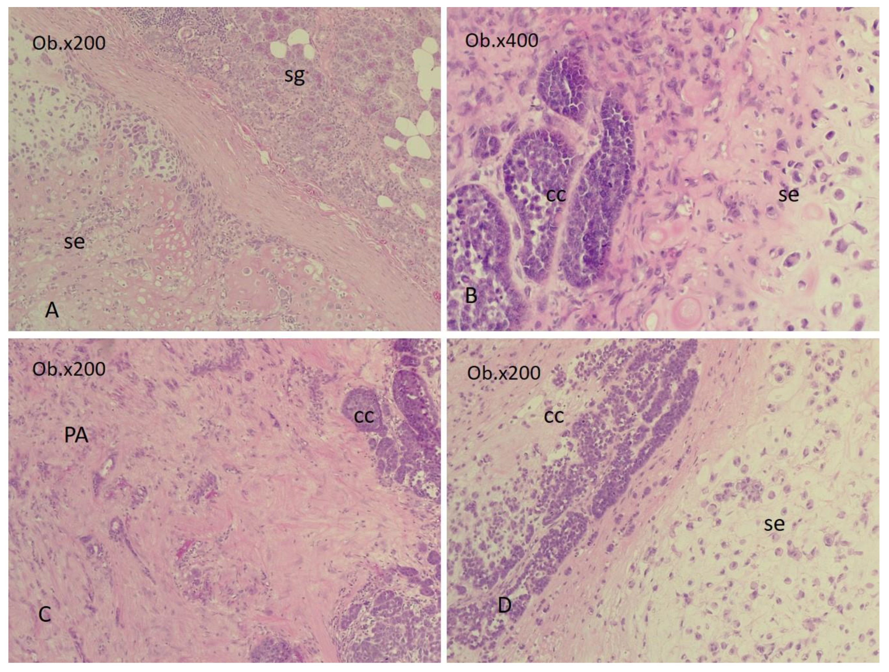 Diagnostics 14 01942 g005 Diagnostics 14 01942 g005