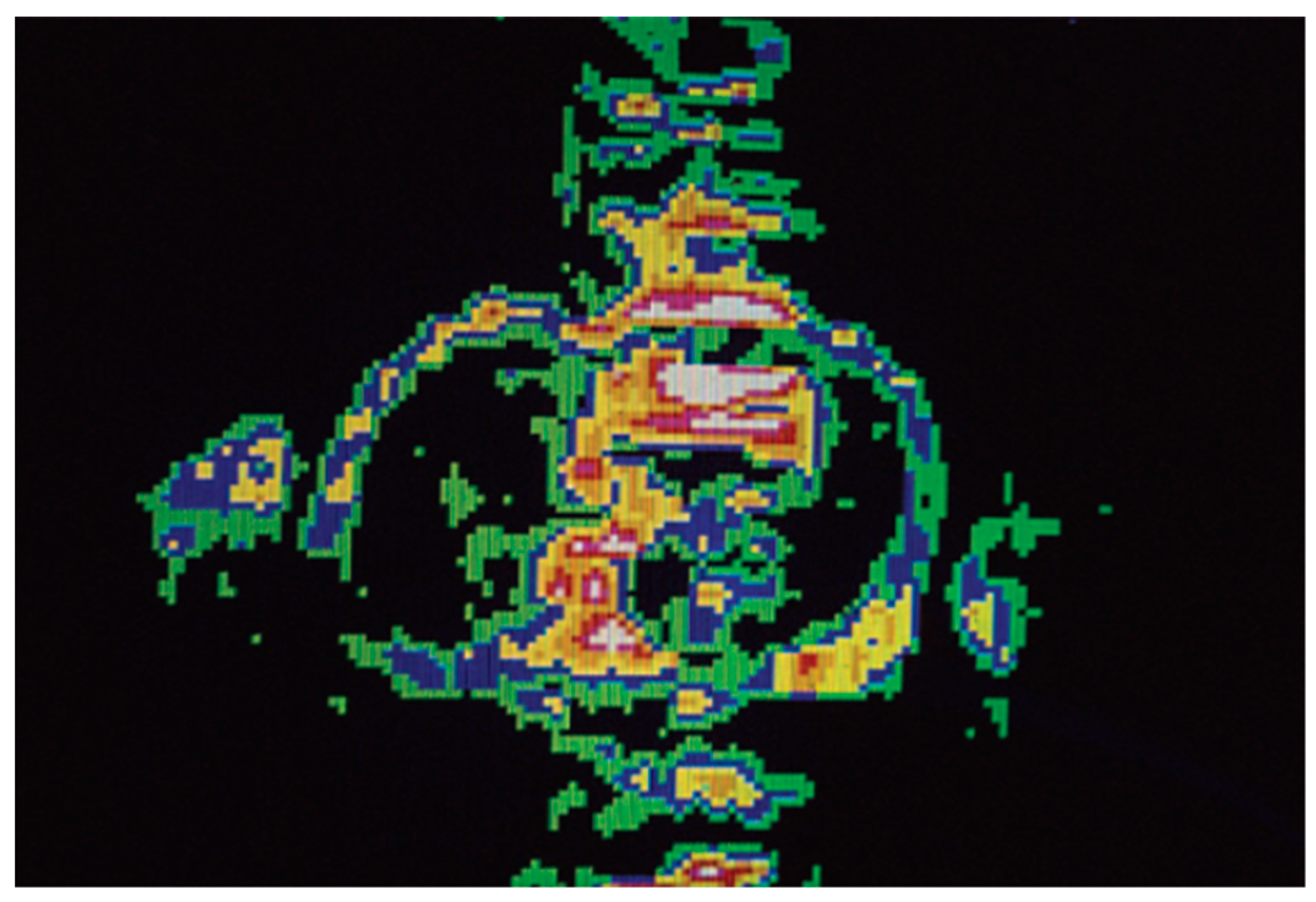 Diagnostics 14 01946 g001