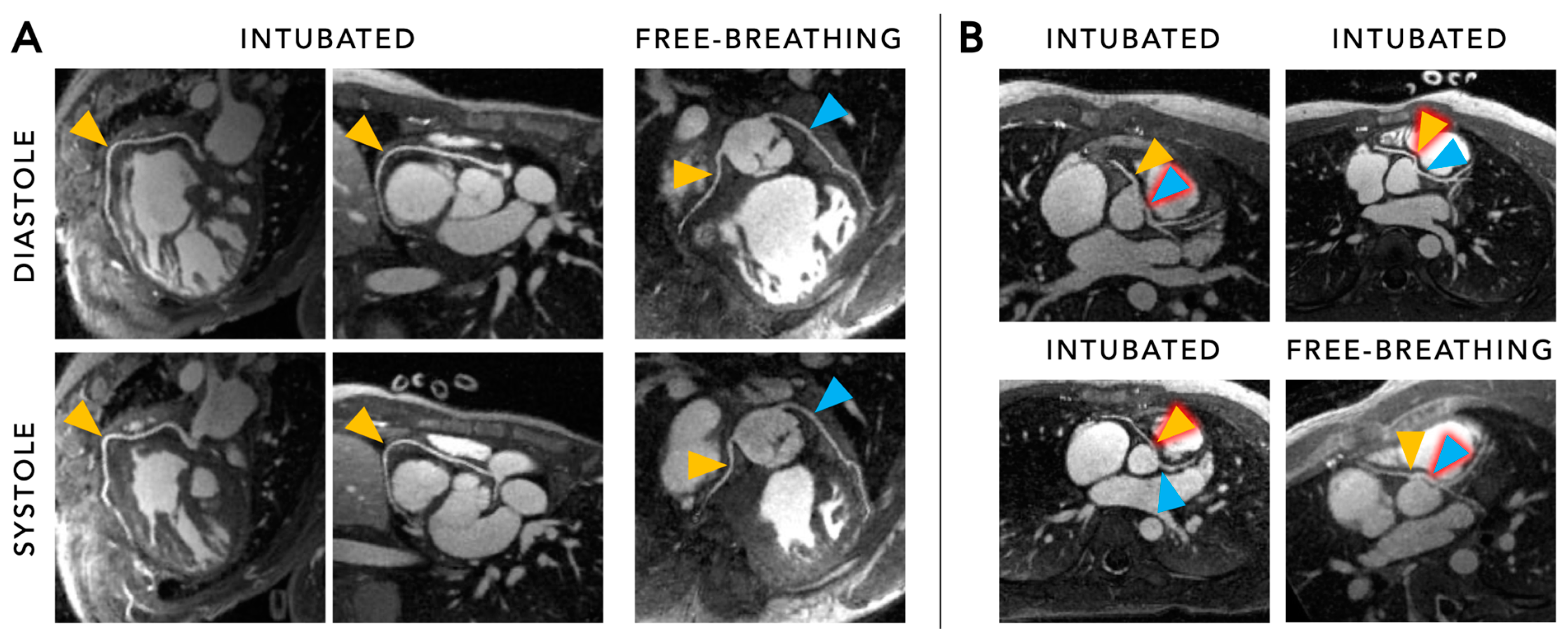 Diagnostics 14 01946 g006