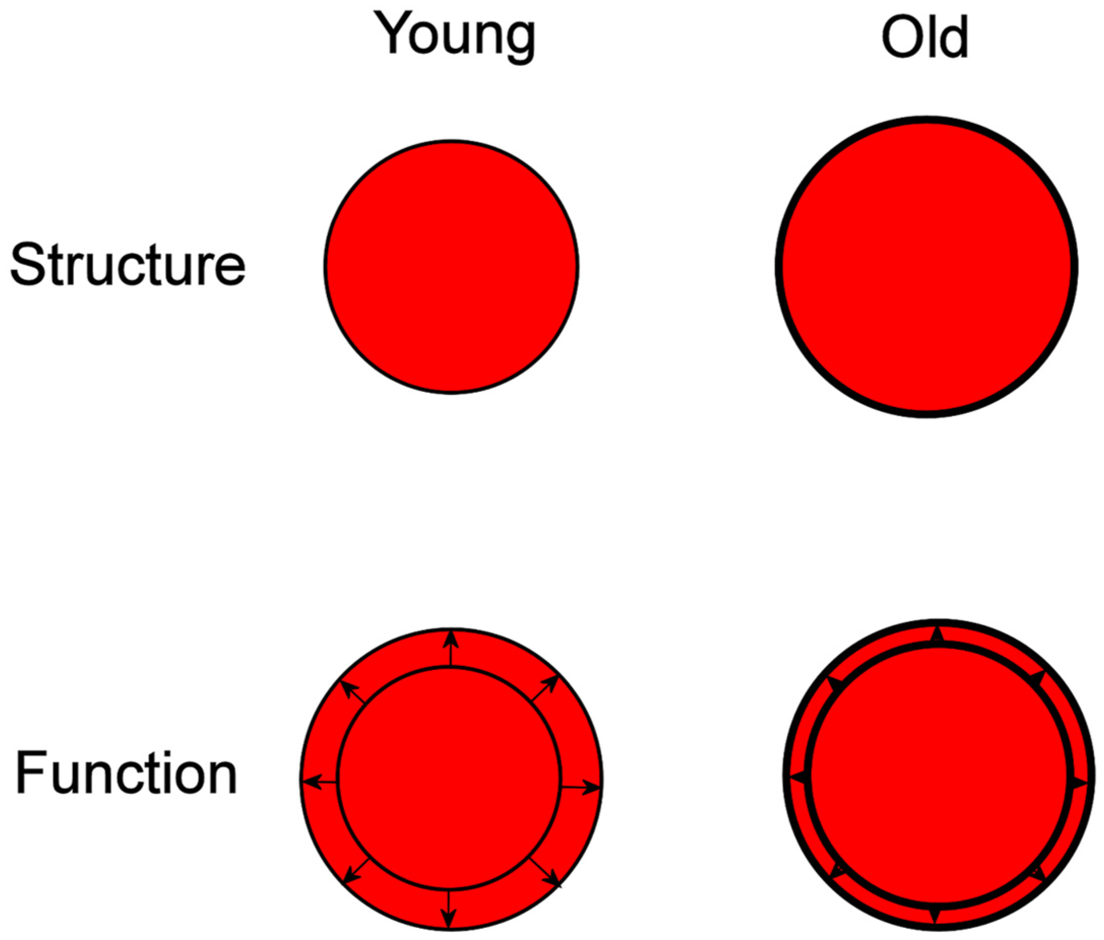 Diagnostics 14 01947 g001
