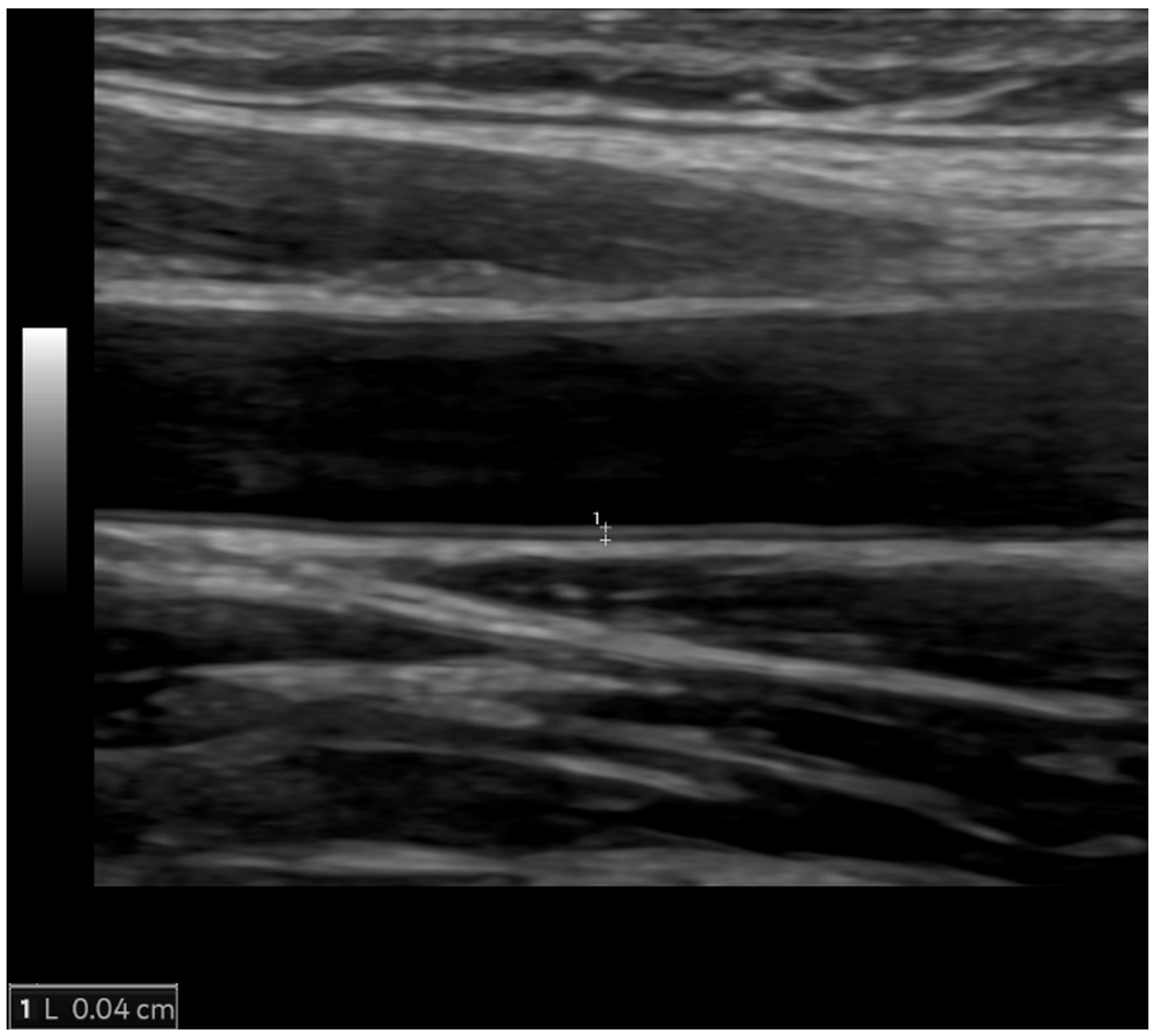 Diagnostics 14 01947 g003
