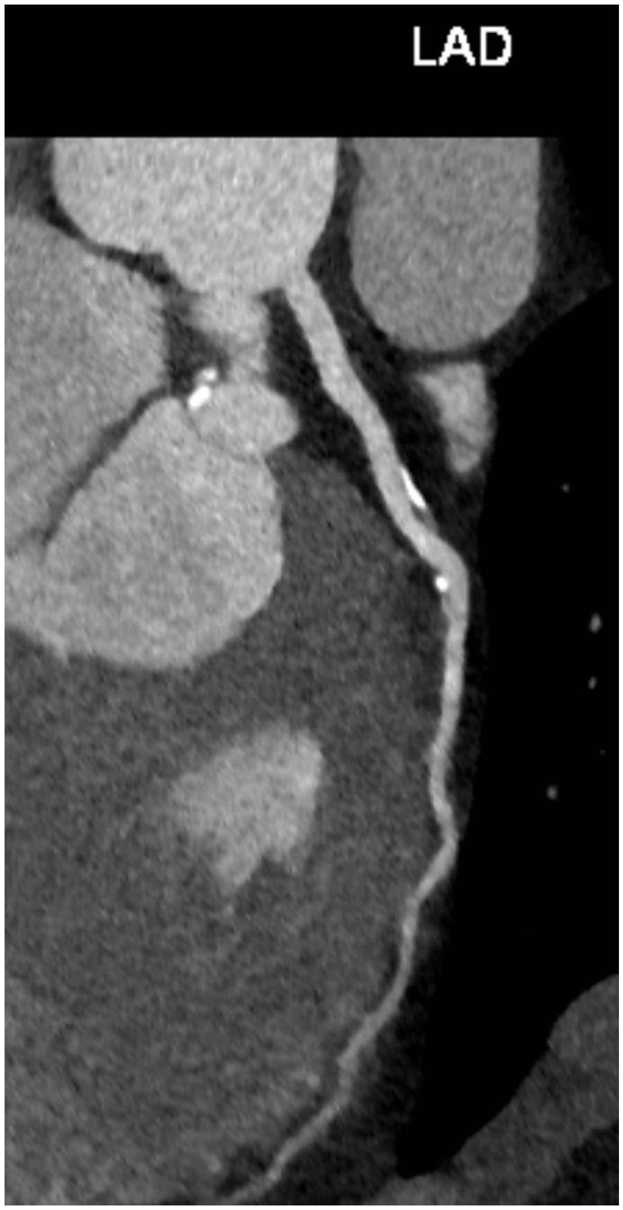 Diagnostics 14 01947 g005