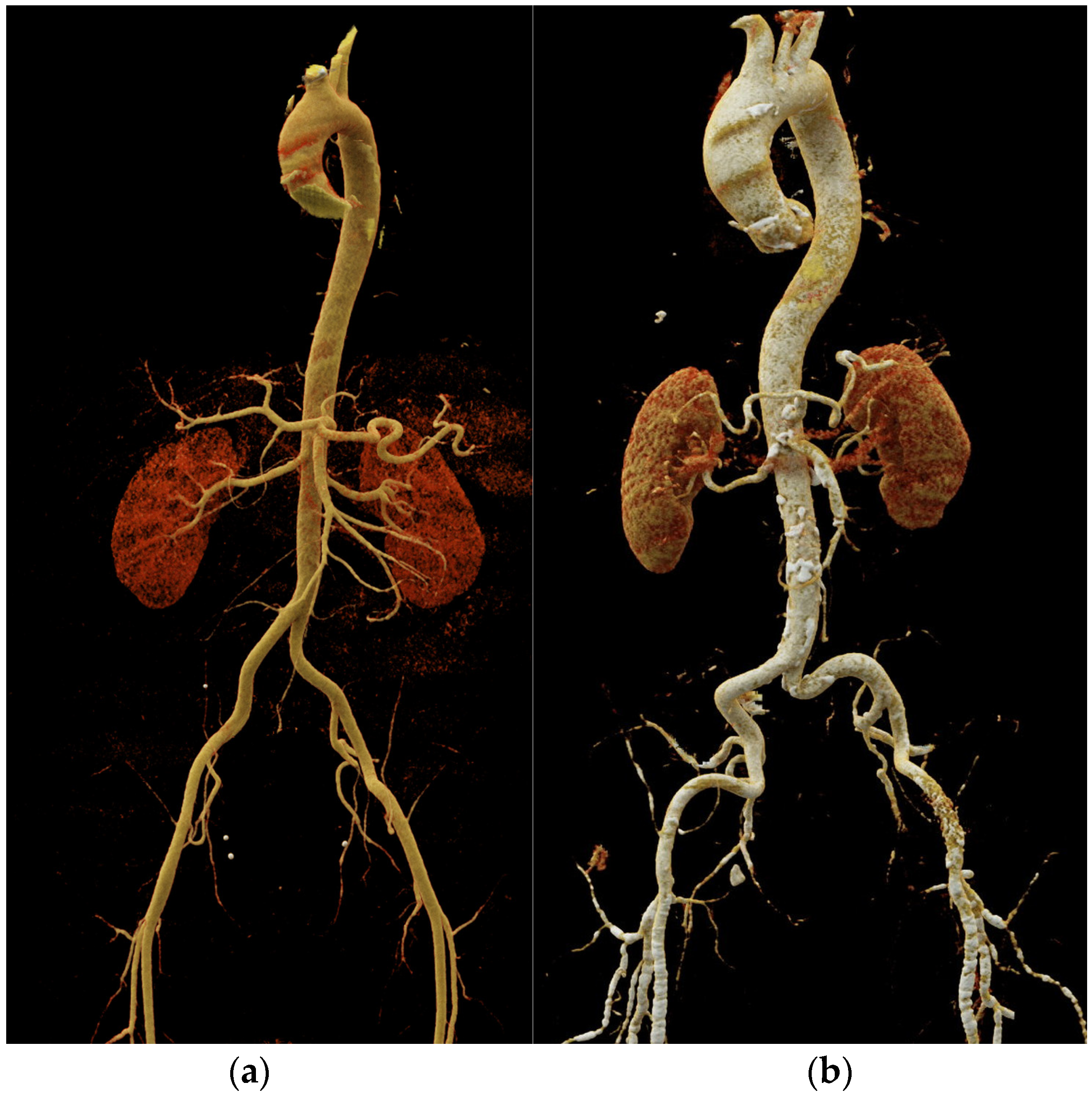 Diagnostics 14 01947 g006
