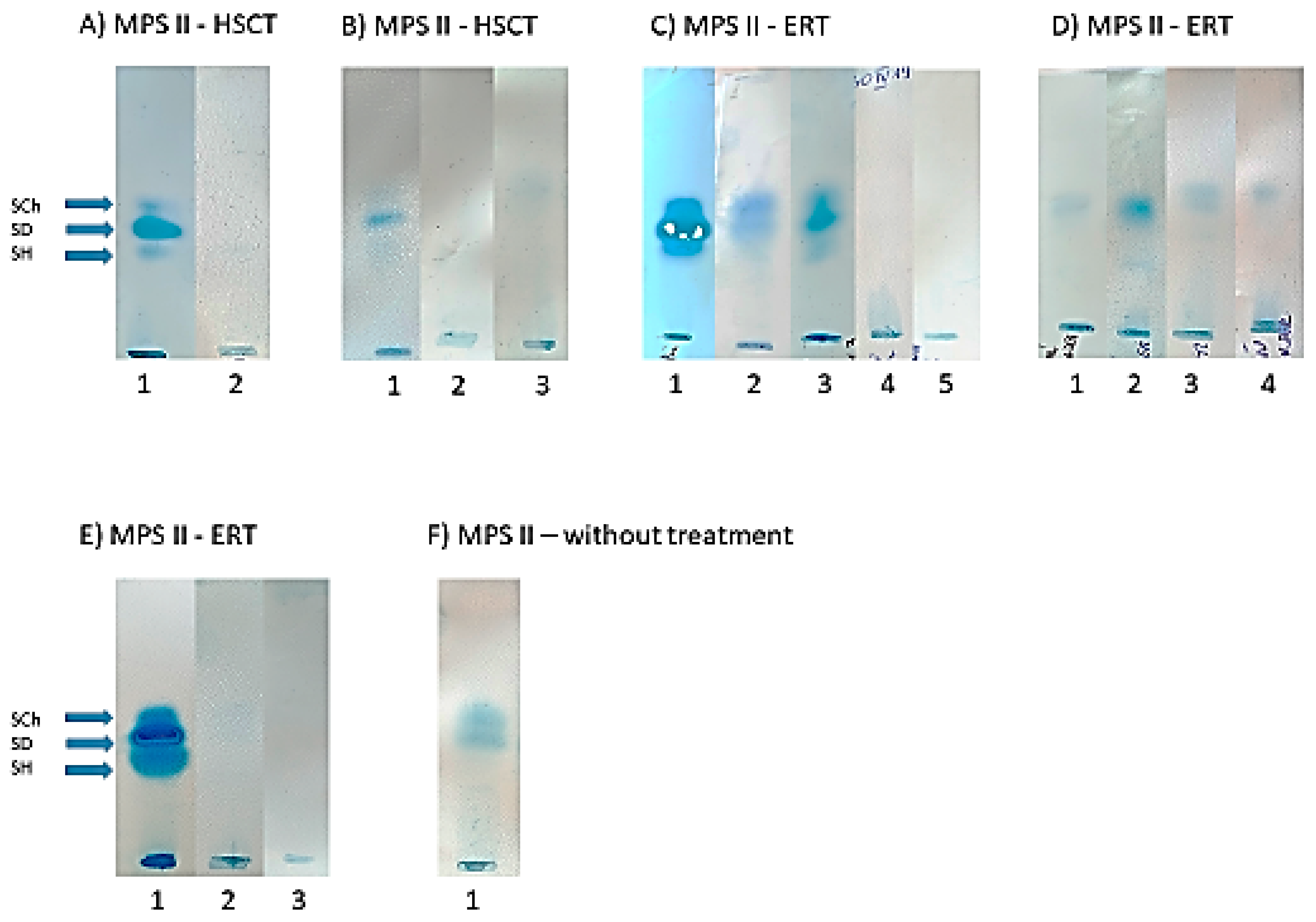 Diagnostics 14 01956 g004