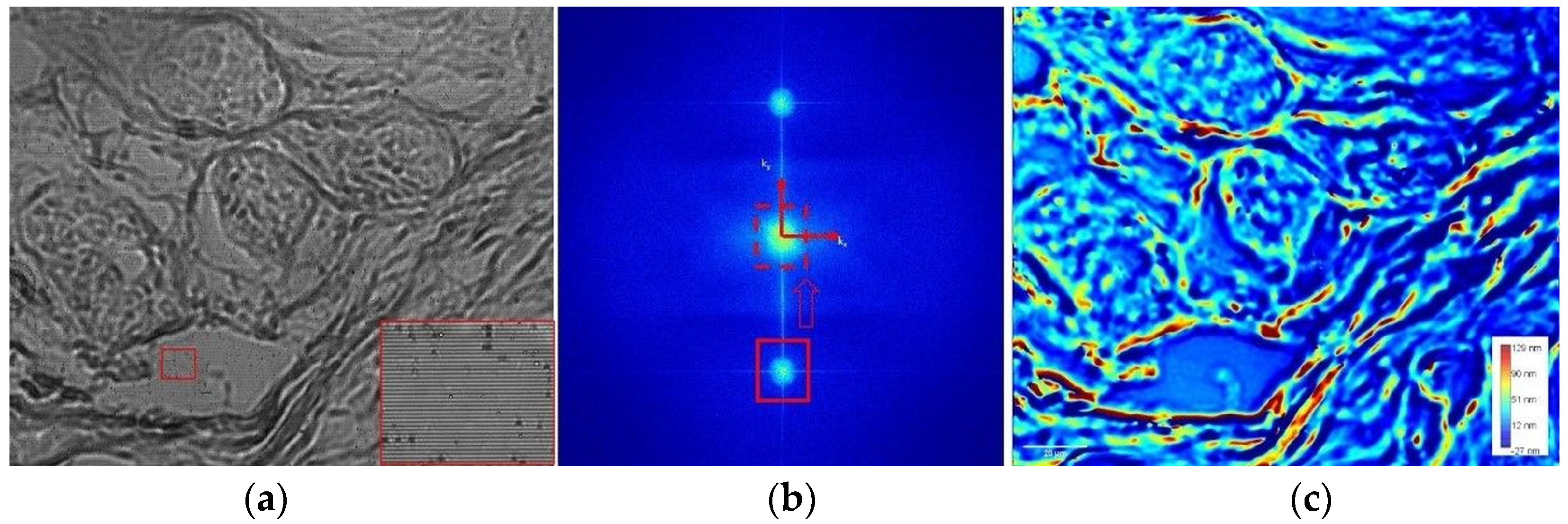 Diagnostics 14 01966 g001