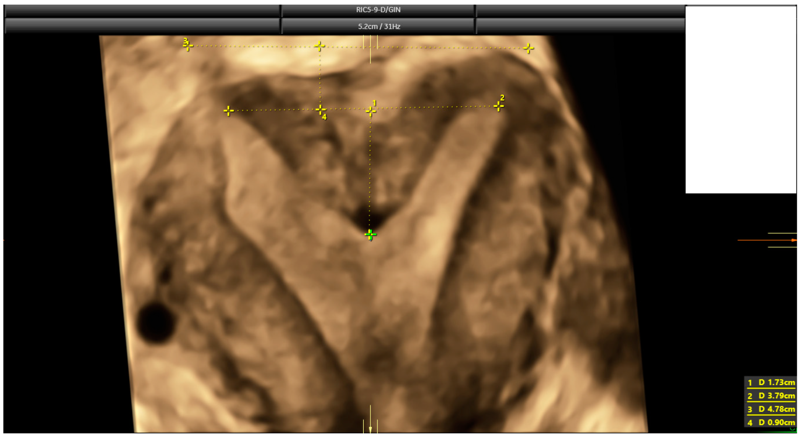 Diagnostics 14 02019 g002