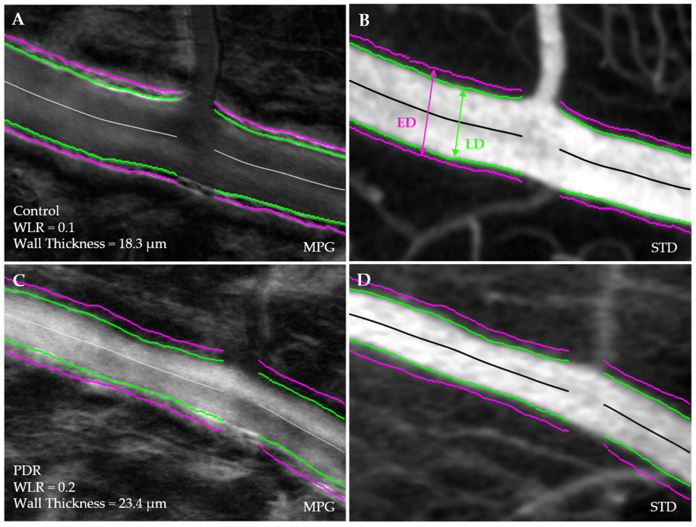 Diagnostics 14 02020 g001