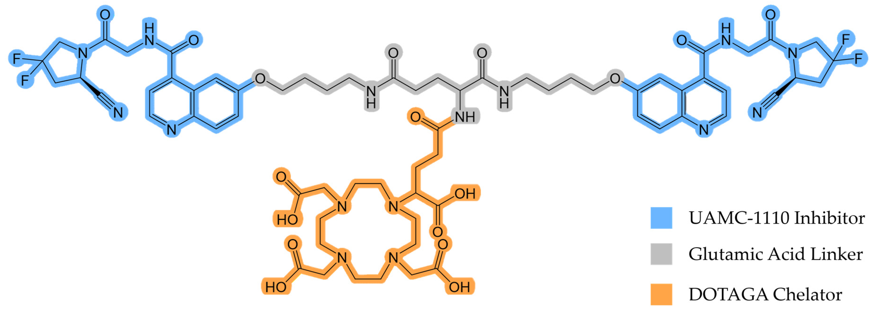 Diagnostics 14 02024 g001