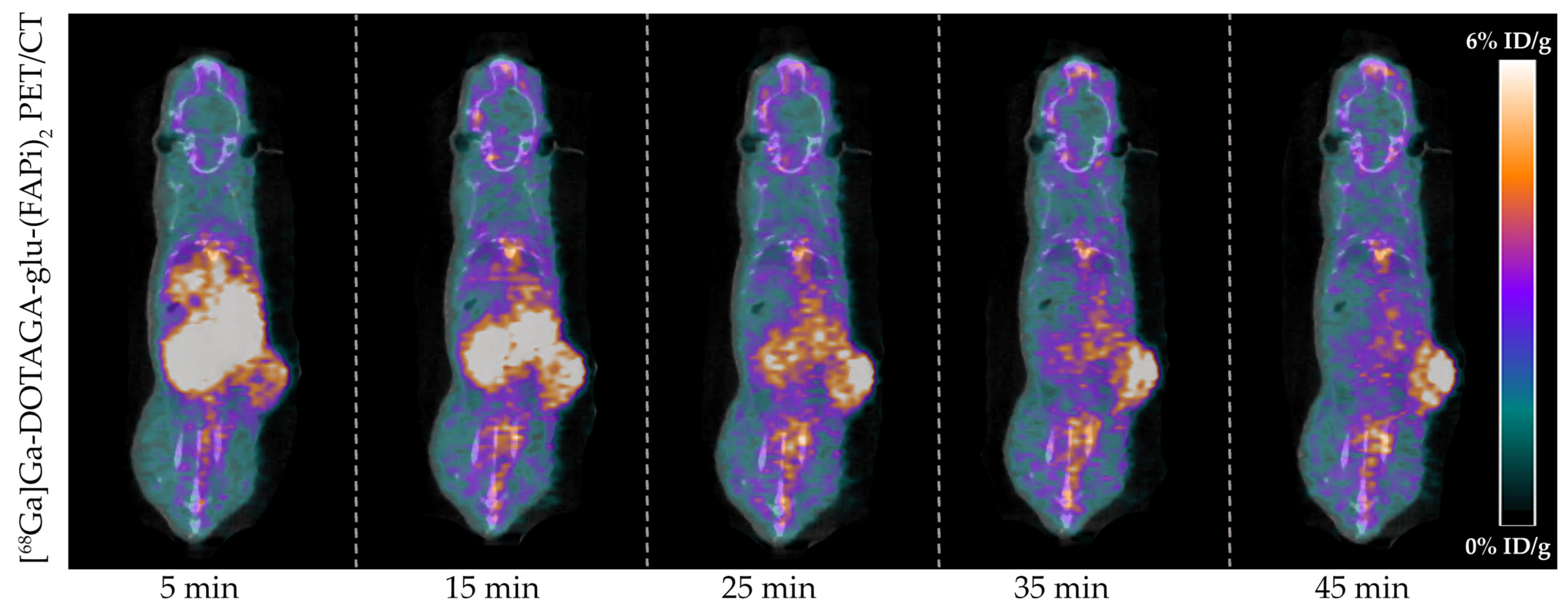 Diagnostics 14 02024 g003