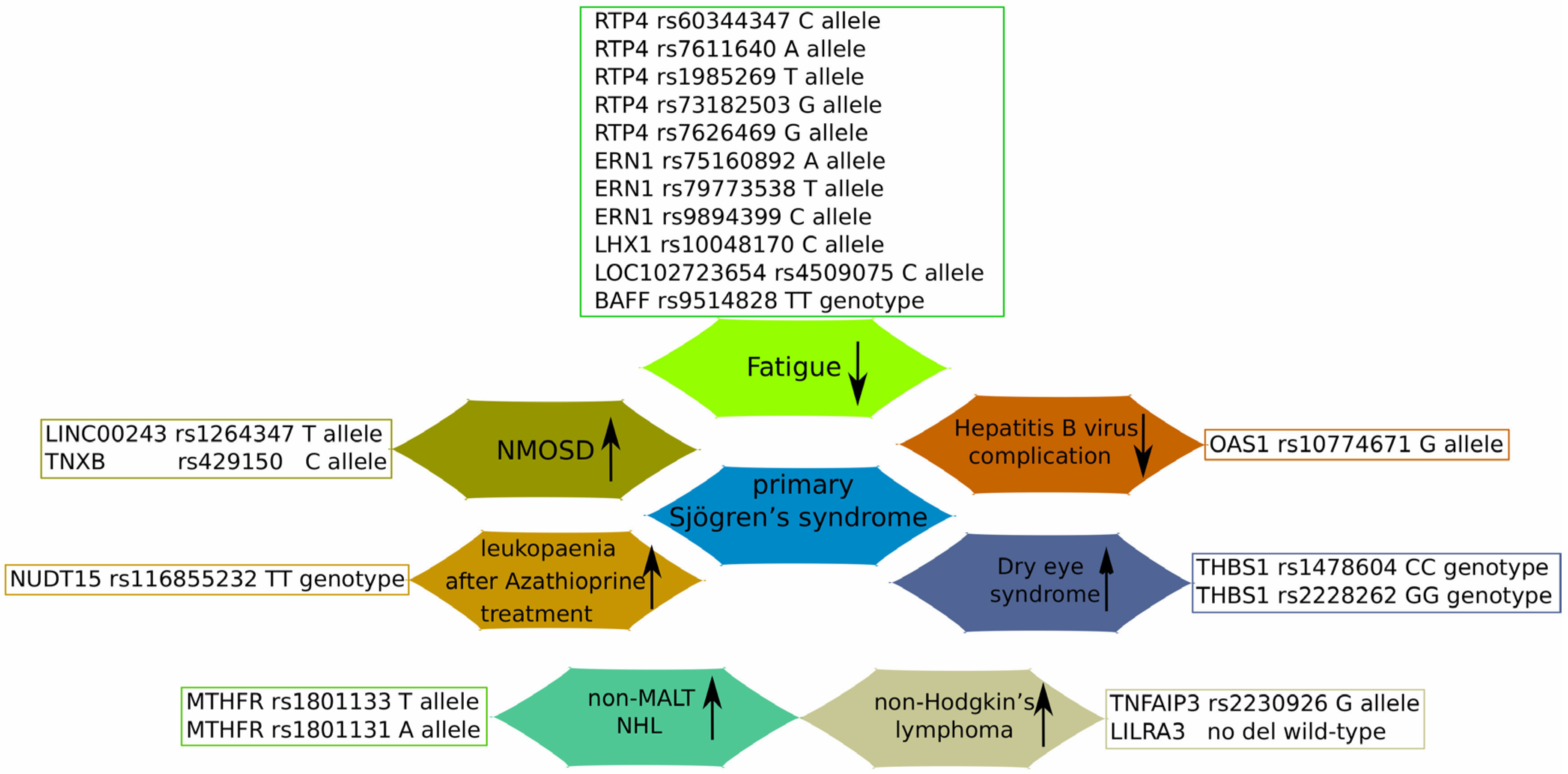 Diagnostics 14 02035 g002