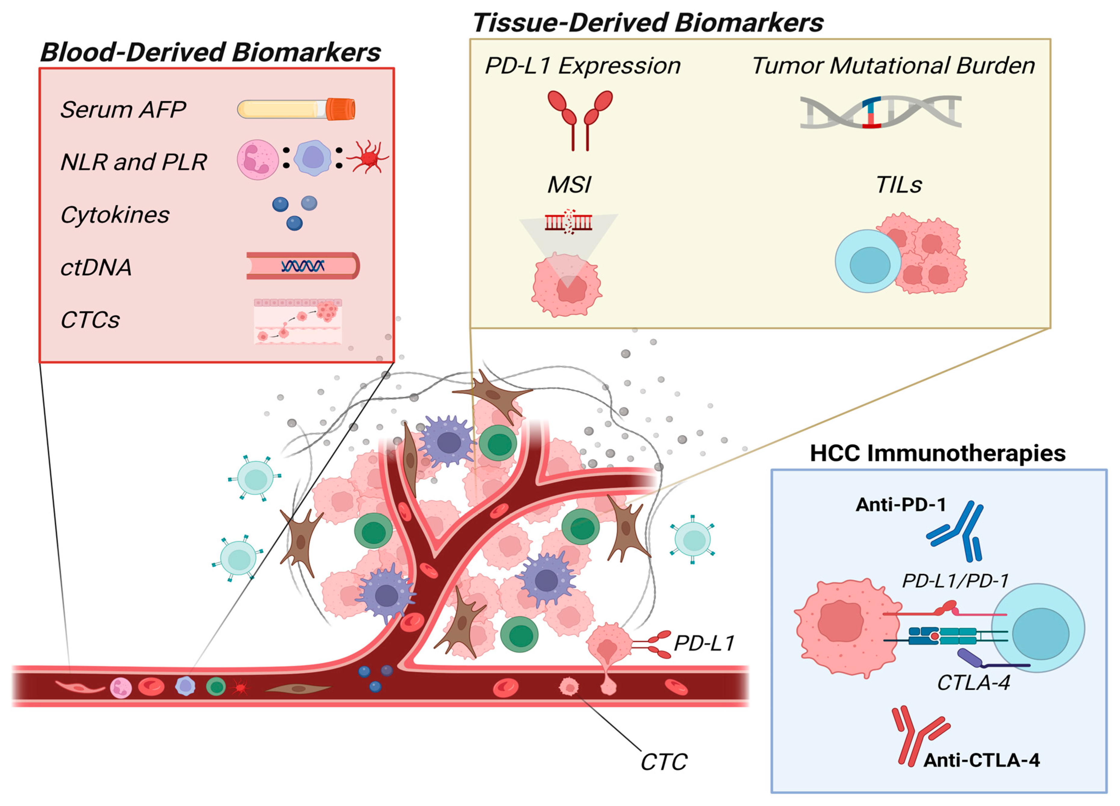 Diagnostics 14 02054 g001