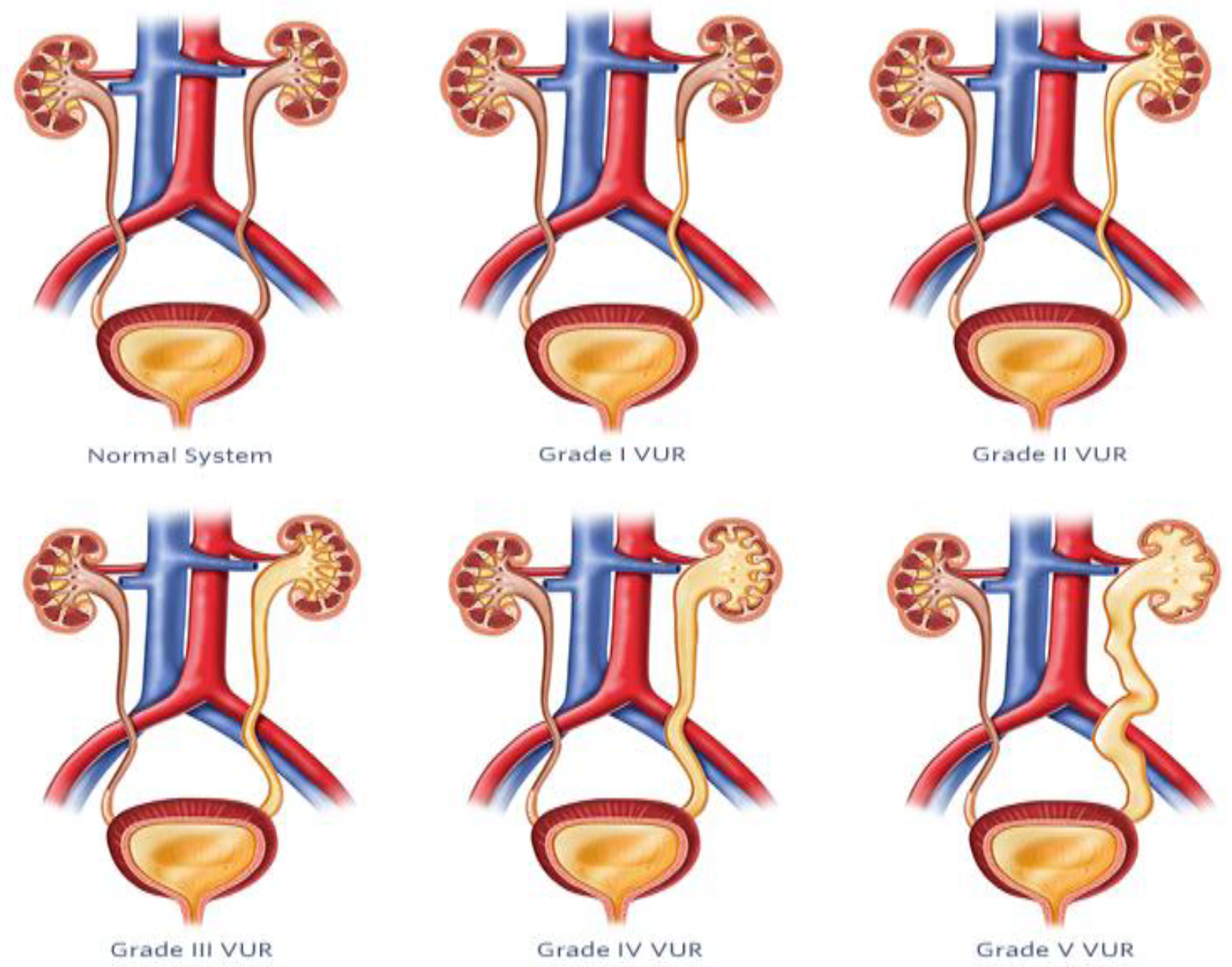 Diagnostics 14 02059 g008
