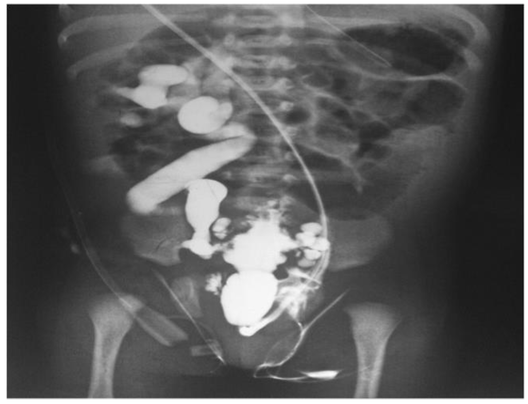 Diagnostics 14 02059 g009