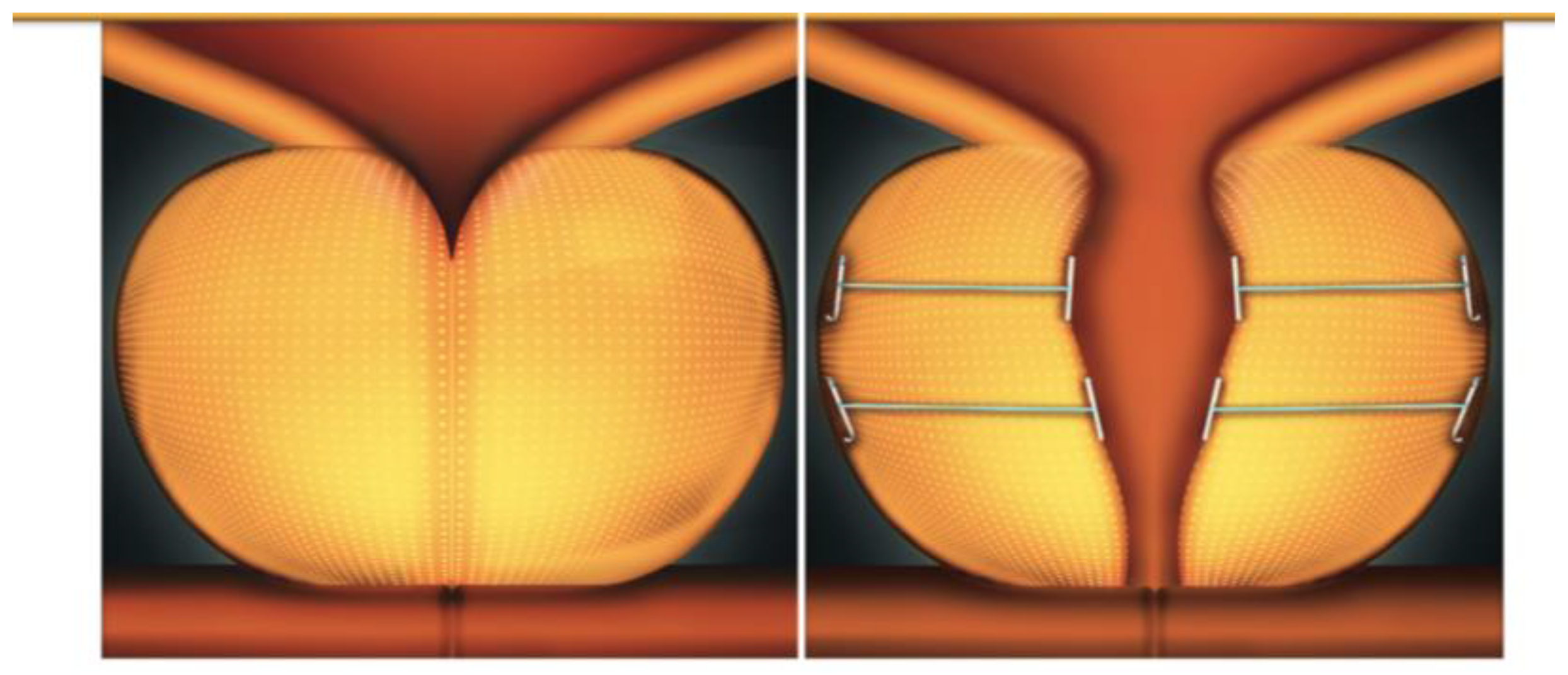 Diagnostics 14 02110 g001