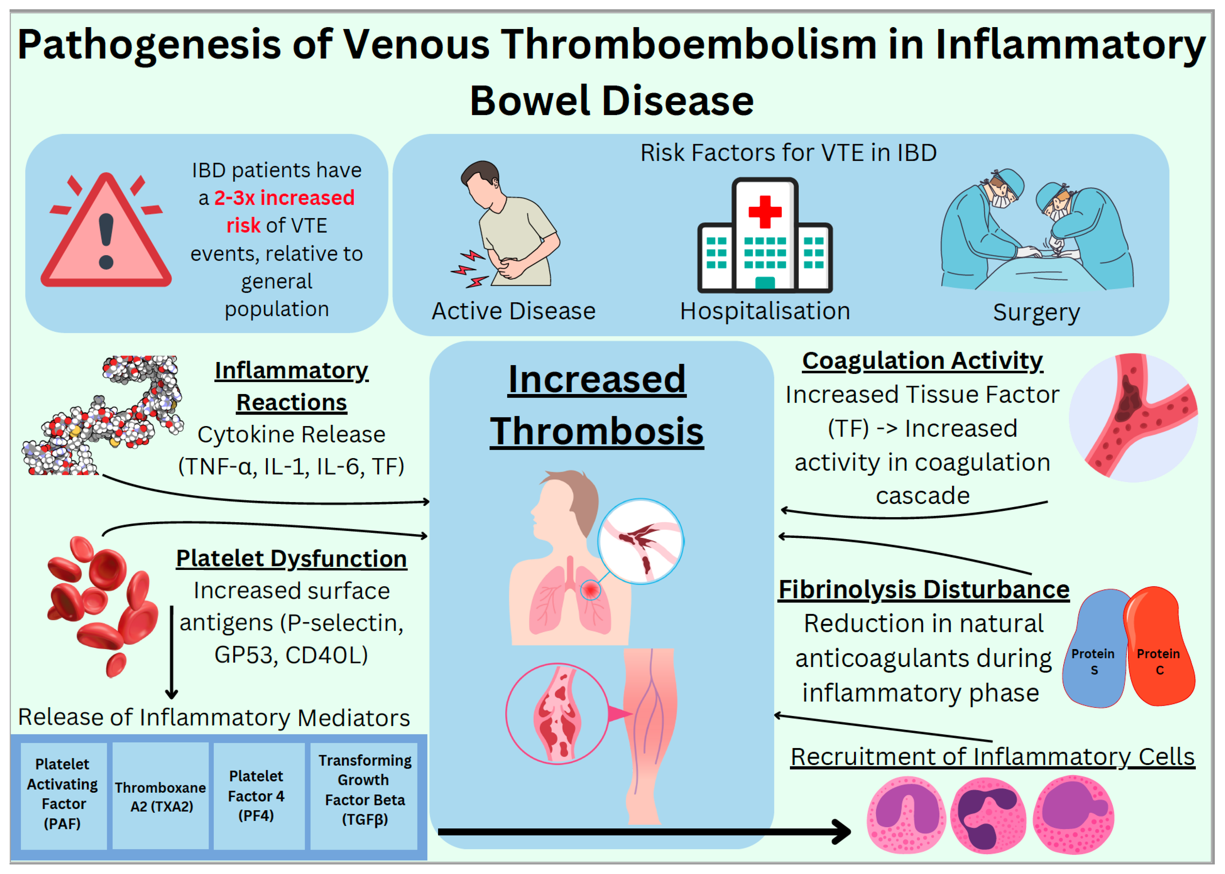 Diagnostics 14 02112 g001 Diagnostics 14 02112 g001