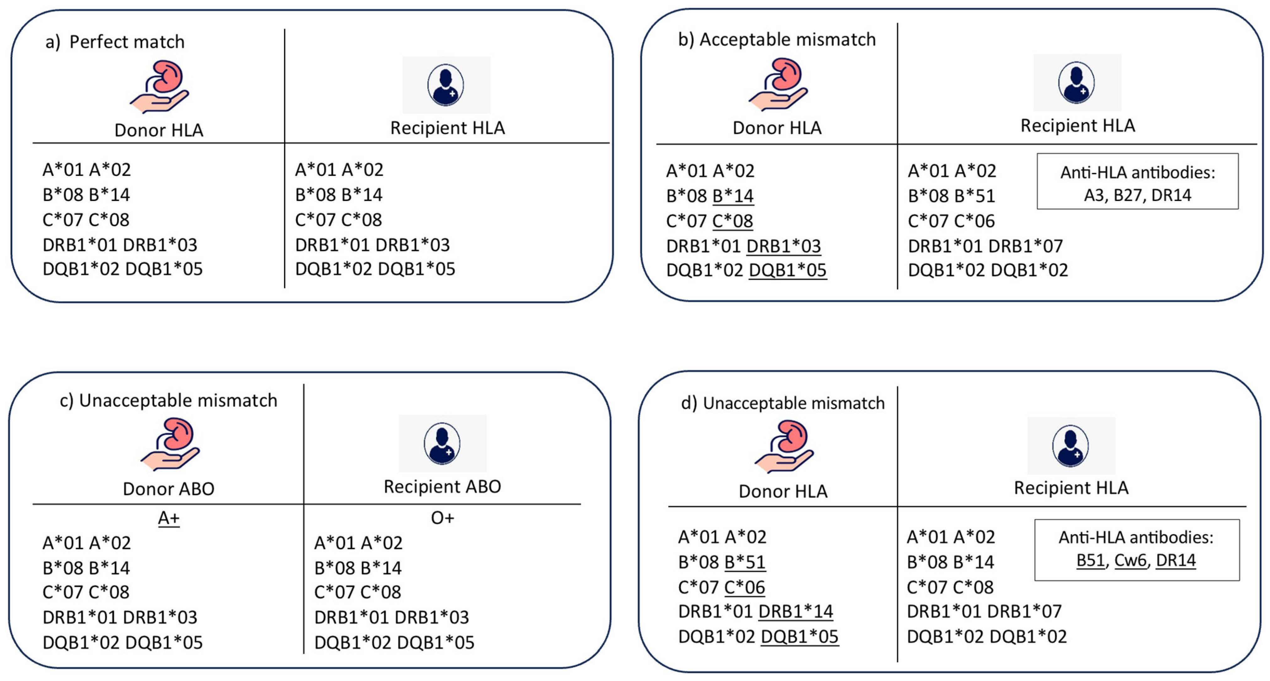 Diagnostics 14 02119 g001