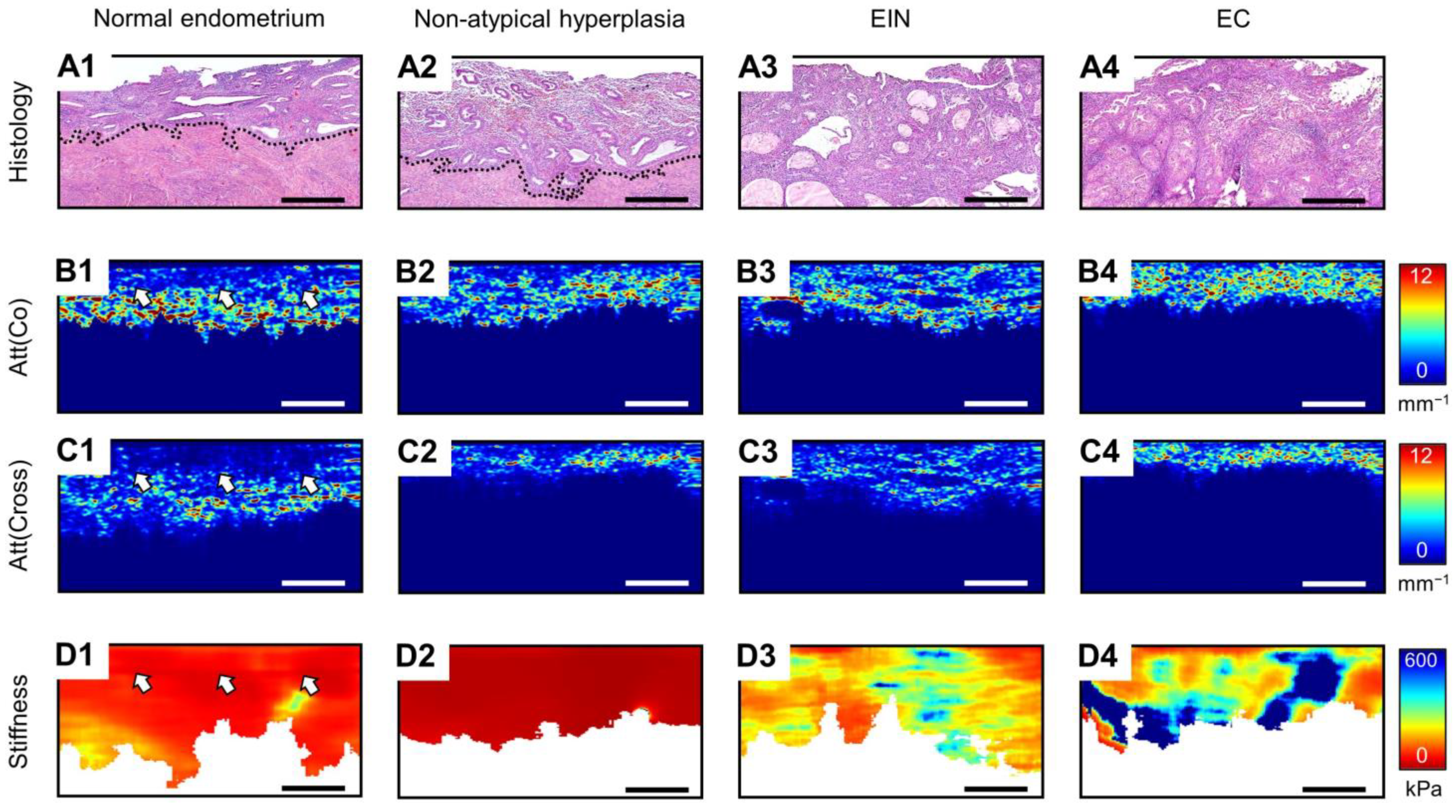 Diagnostics 14 02131 g001 Diagnostics 14 02131 g001