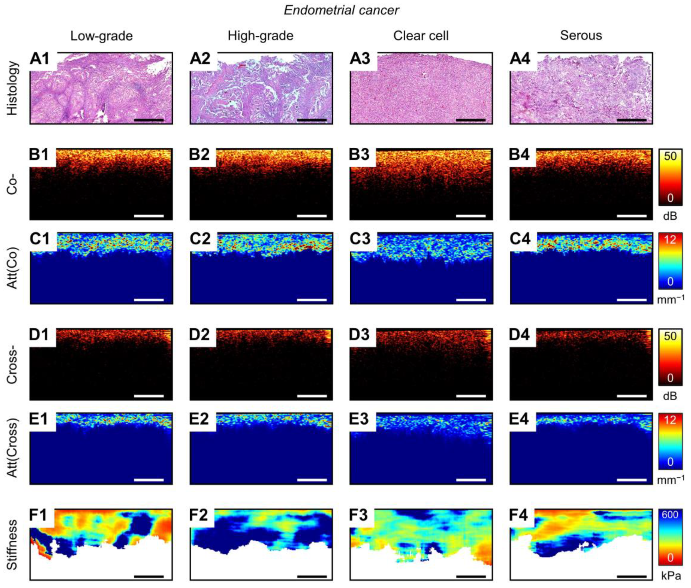 Diagnostics 14 02131 g0a2 Diagnostics 14 02131 g0a2