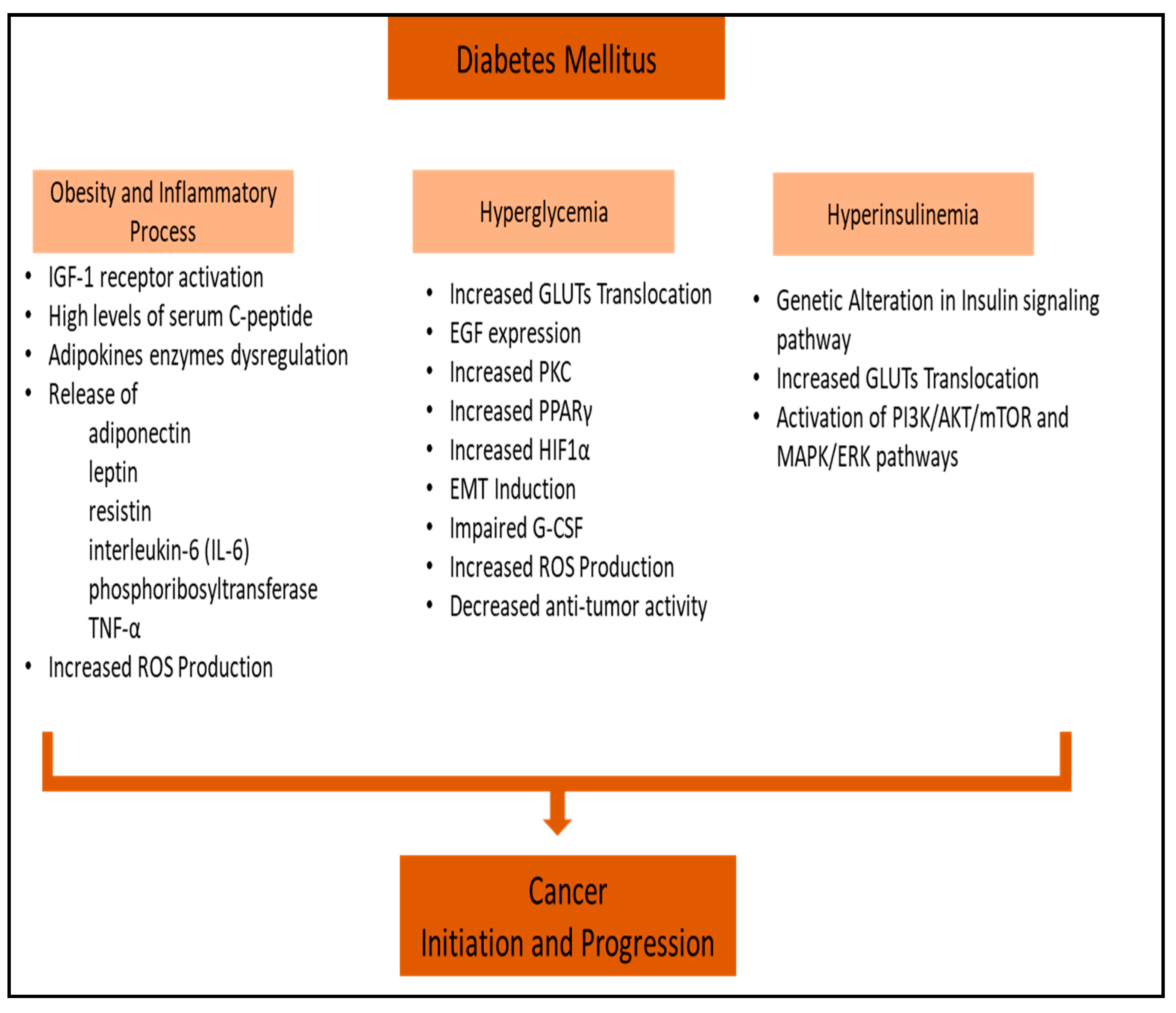 Diagnostics 14 02132 g001