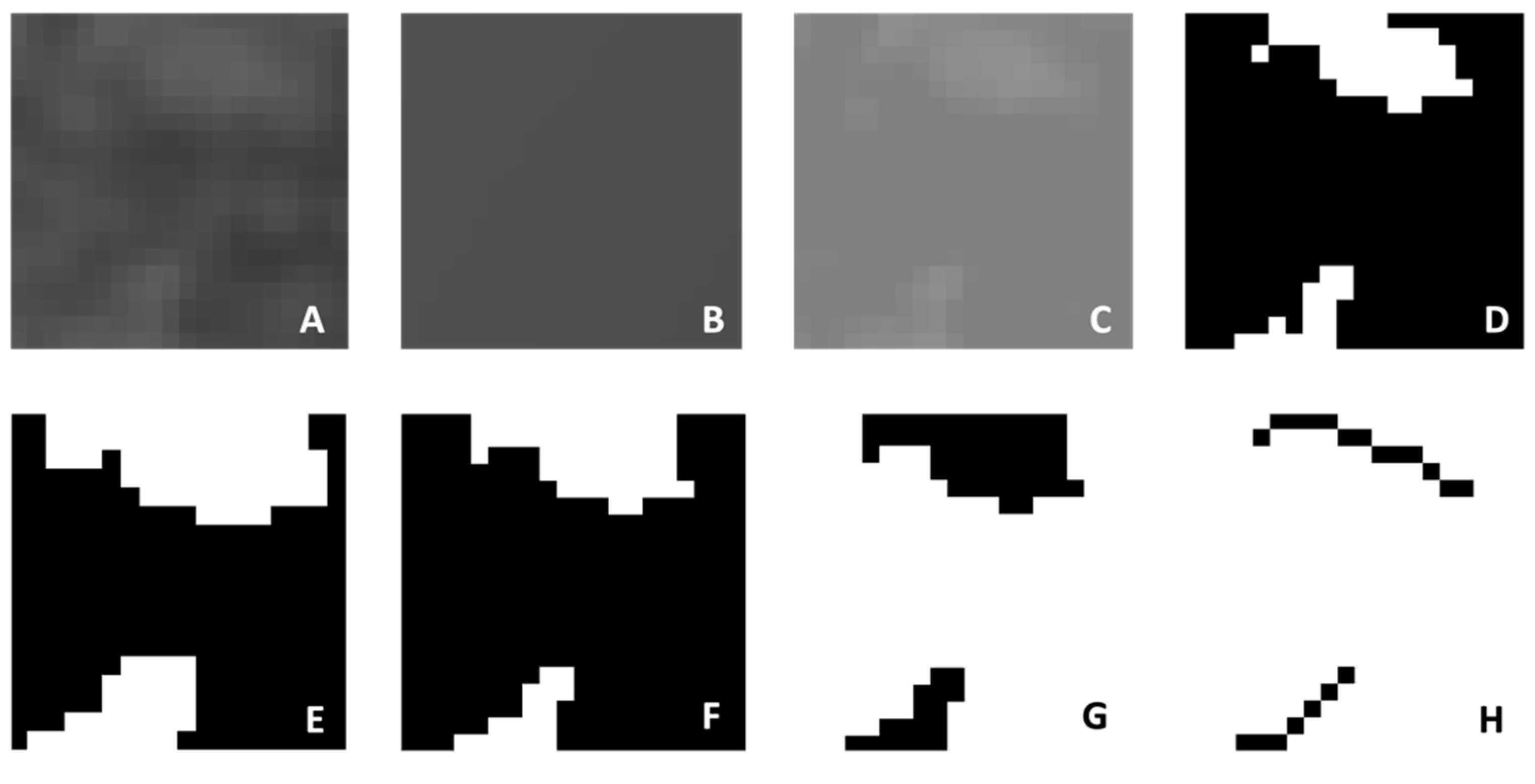 Diagnostics 14 02143 g002