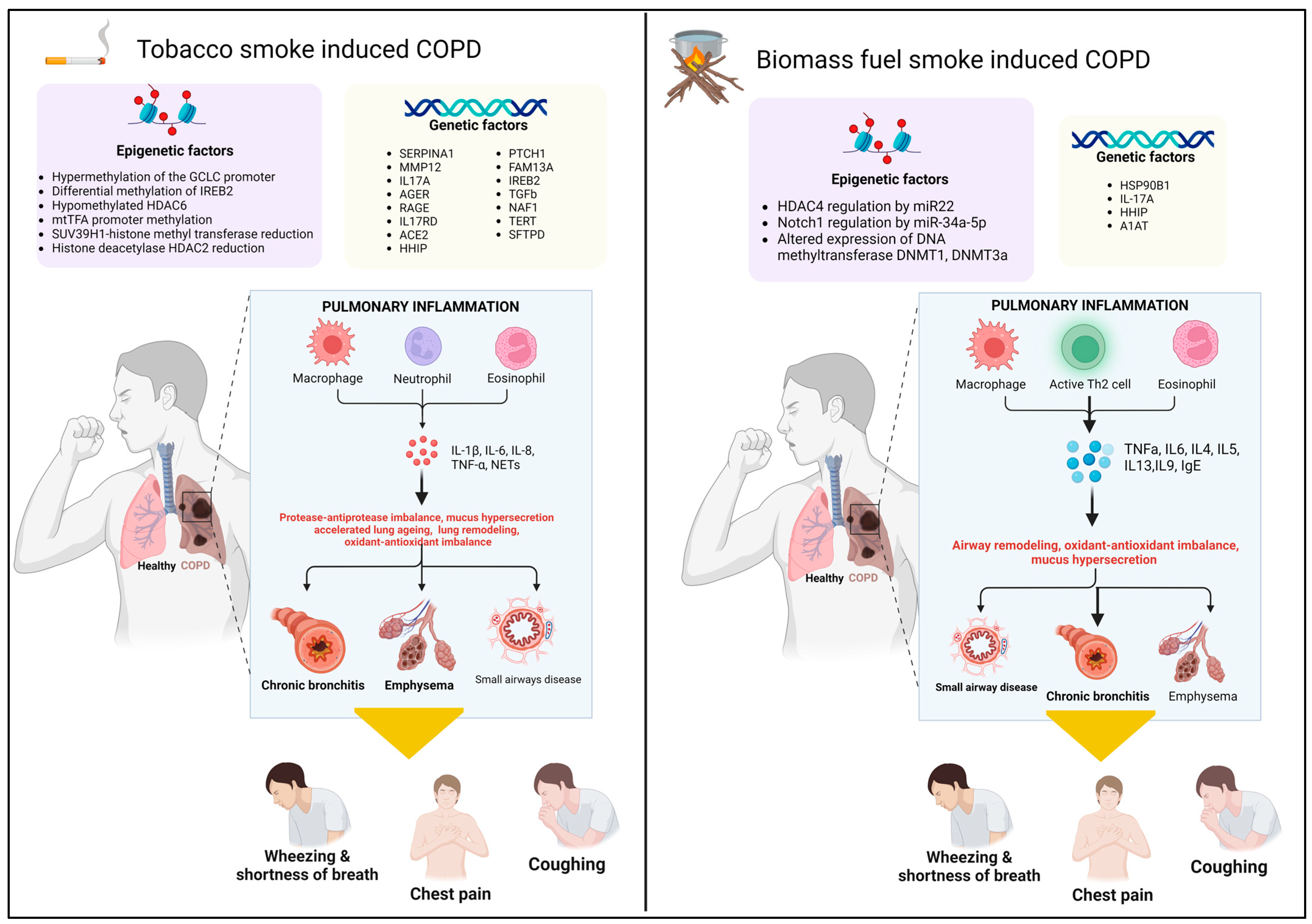 Diagnostics 14 02154 g001 Diagnostics 14 02154 g001