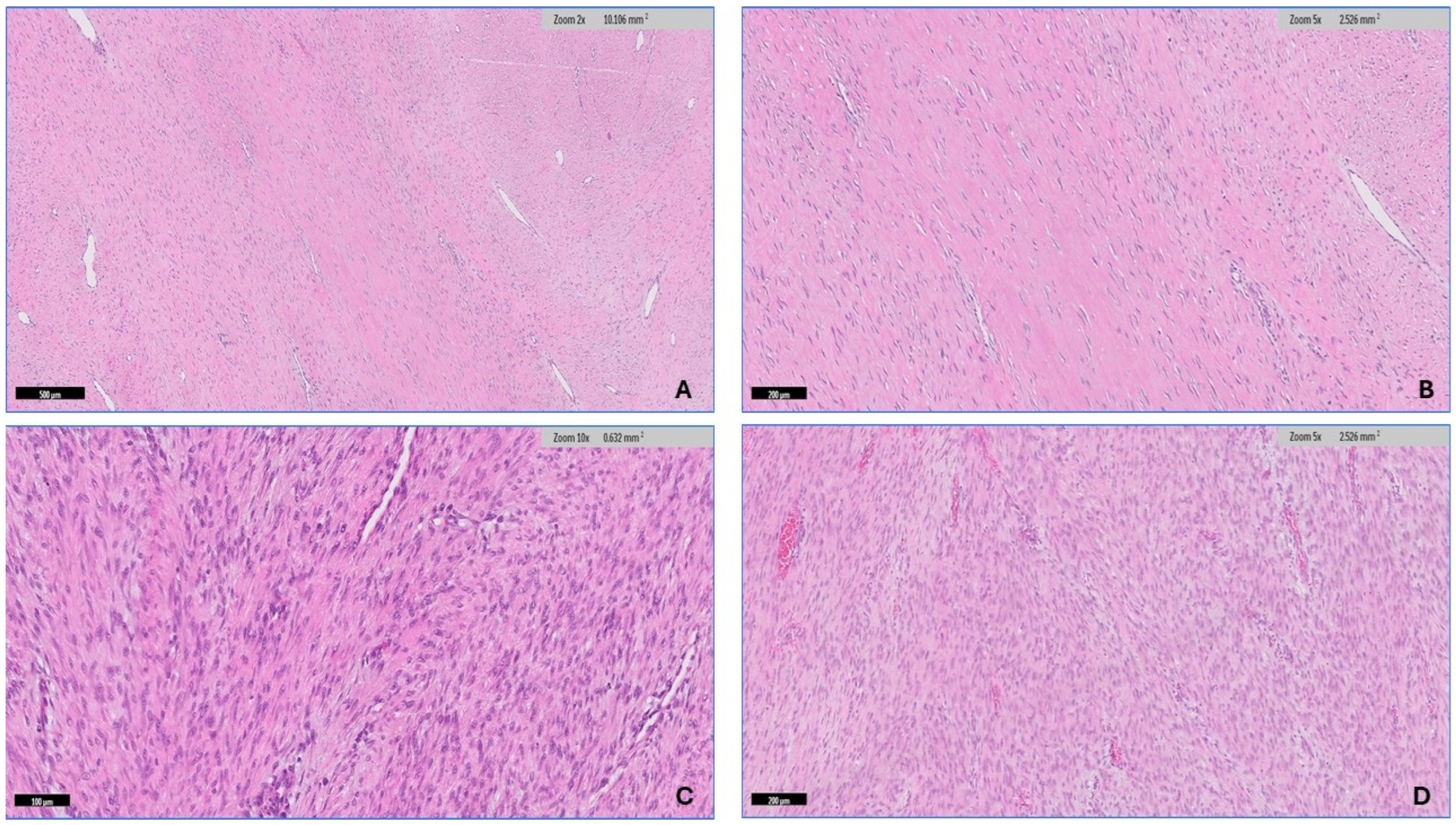 Diagnostics 14 02161 g003