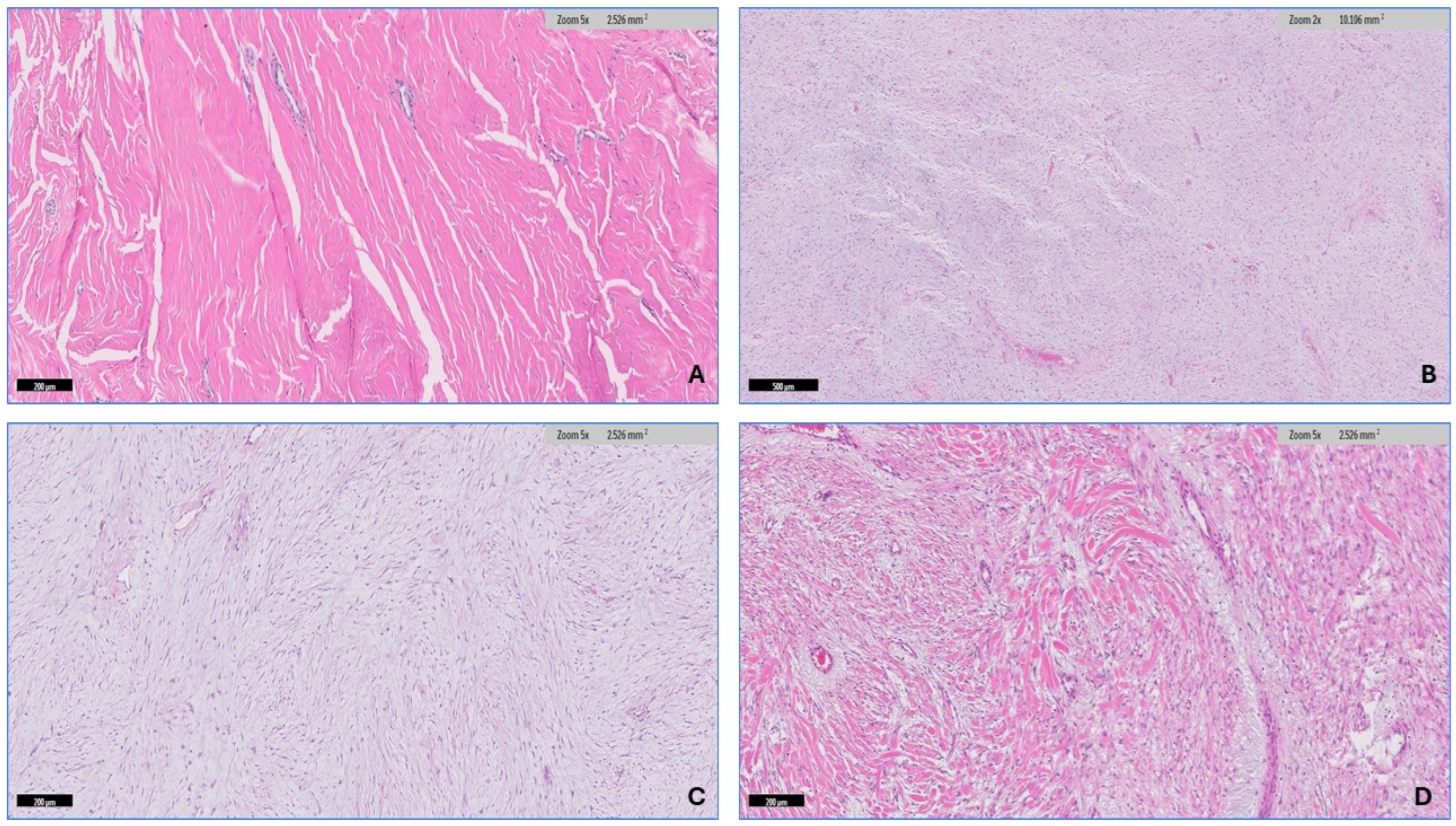 Diagnostics 14 02161 g004