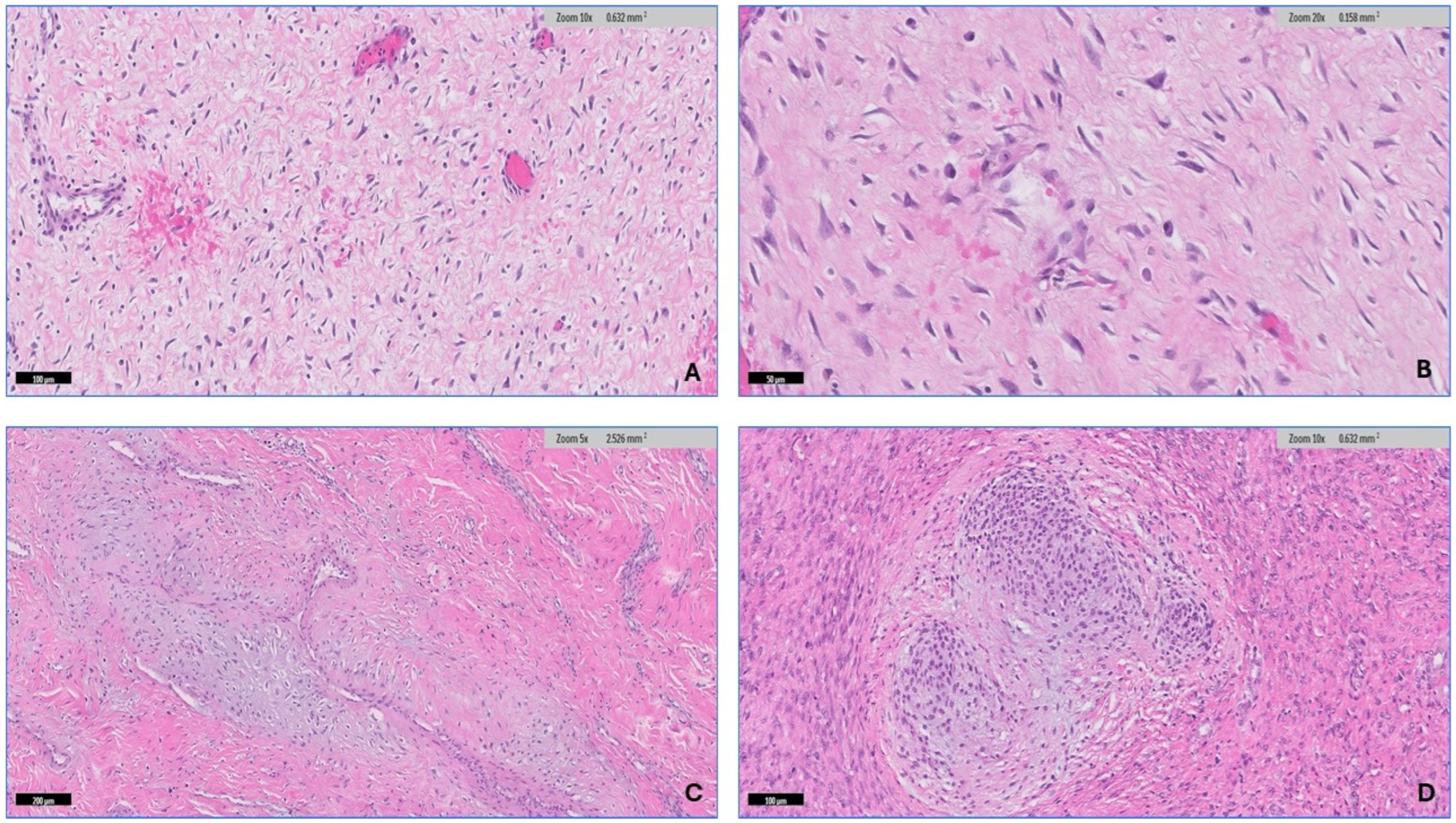 Diagnostics 14 02161 g006