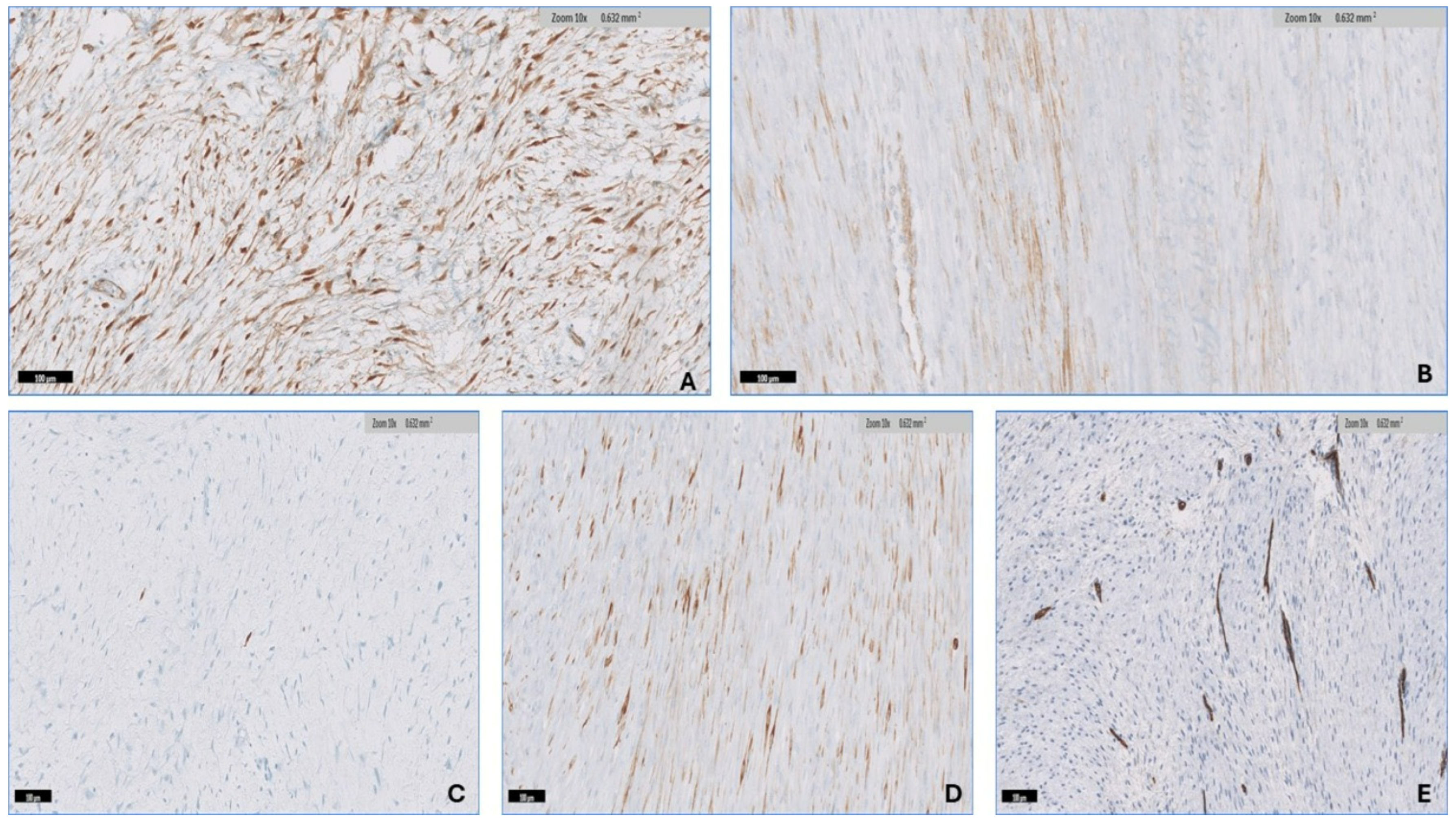 Diagnostics 14 02161 g007